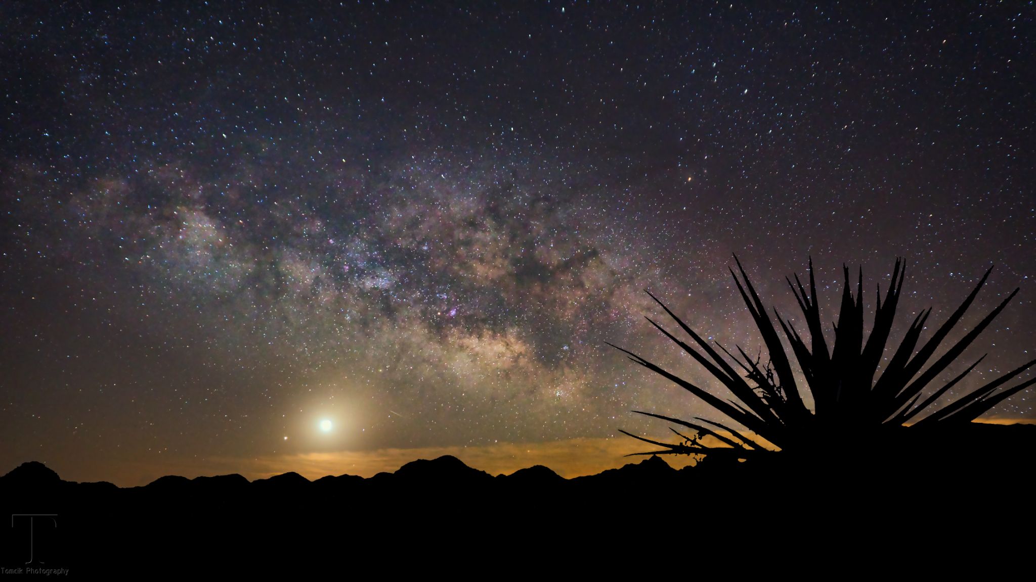 Community photo by Brian Tomcik | Joshua Tree National Park, CA