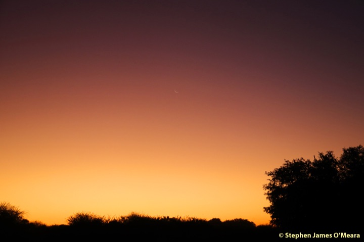 Community photo entitled  by Stephen O'Meara on 05/24/2020 at Maun Botswana