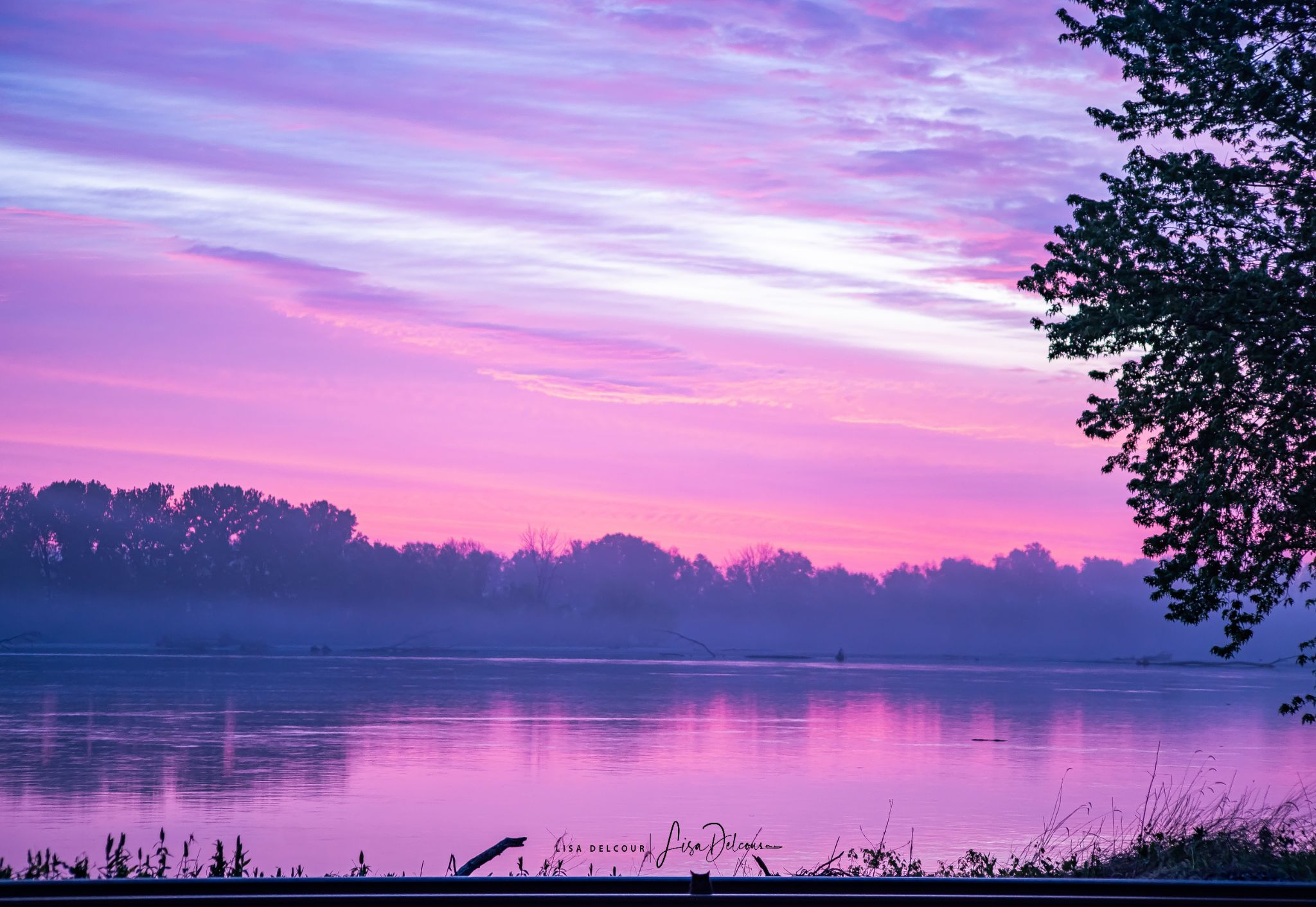 Community photo entitled  by Lisa Delcour on 05/16/2020 at by hannibal missouri