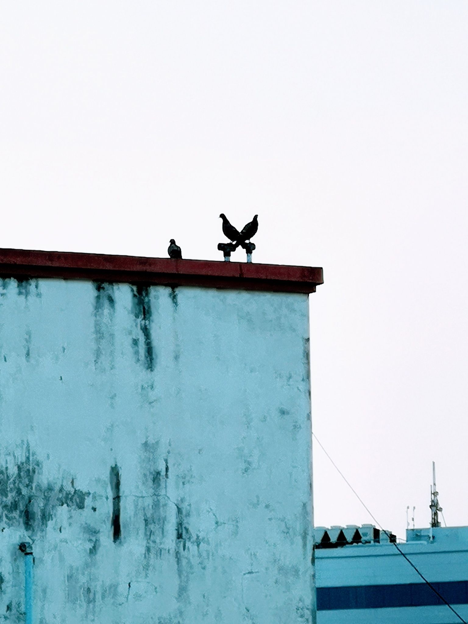 Community photo by Kandaswamy Natarajan | Chennai  TamilNadu  India