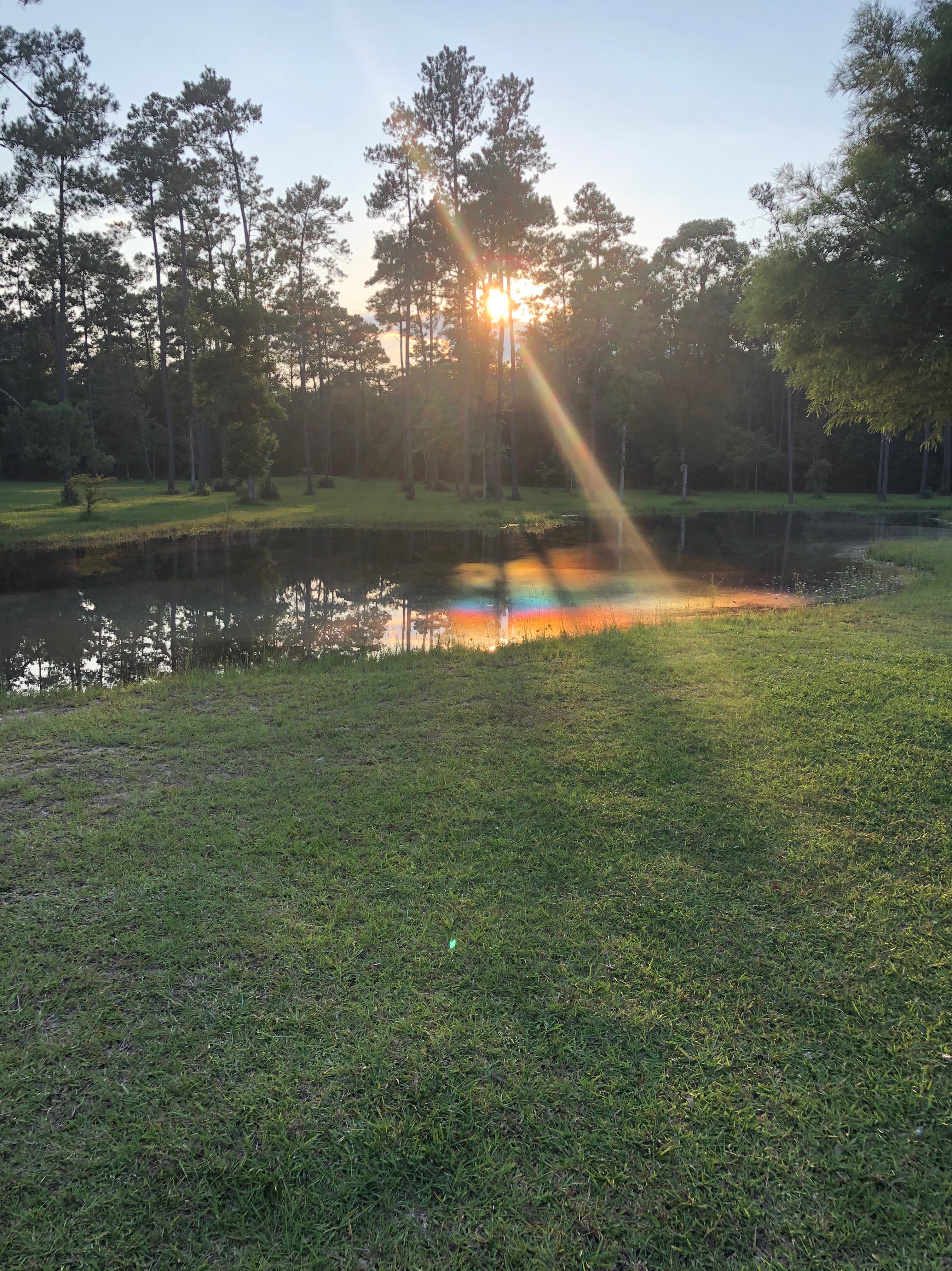 Community photo by David Fitzgerald | Covington Louisiana USA