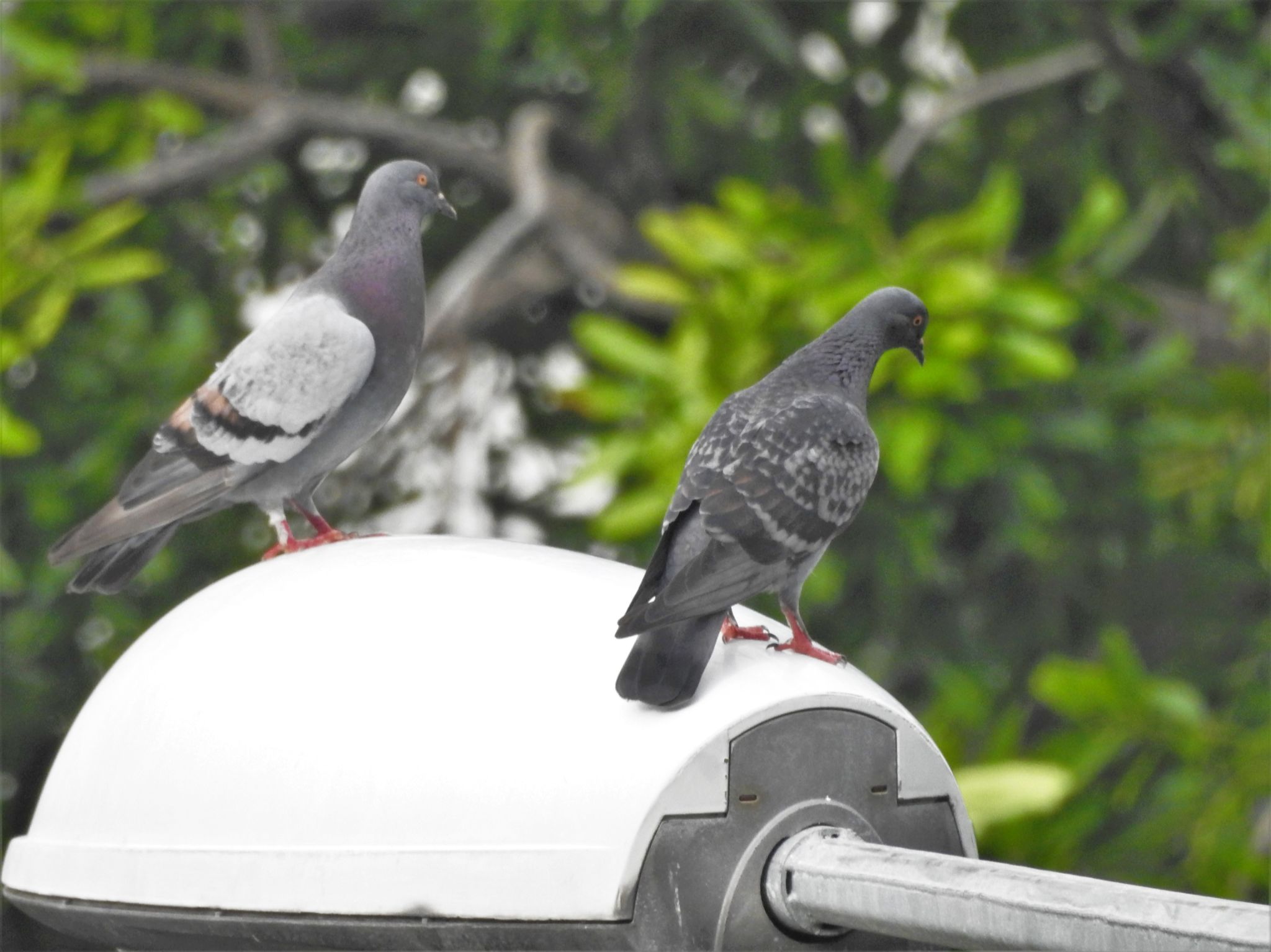 Community photo by Kannan A | Woodlands, Singapore