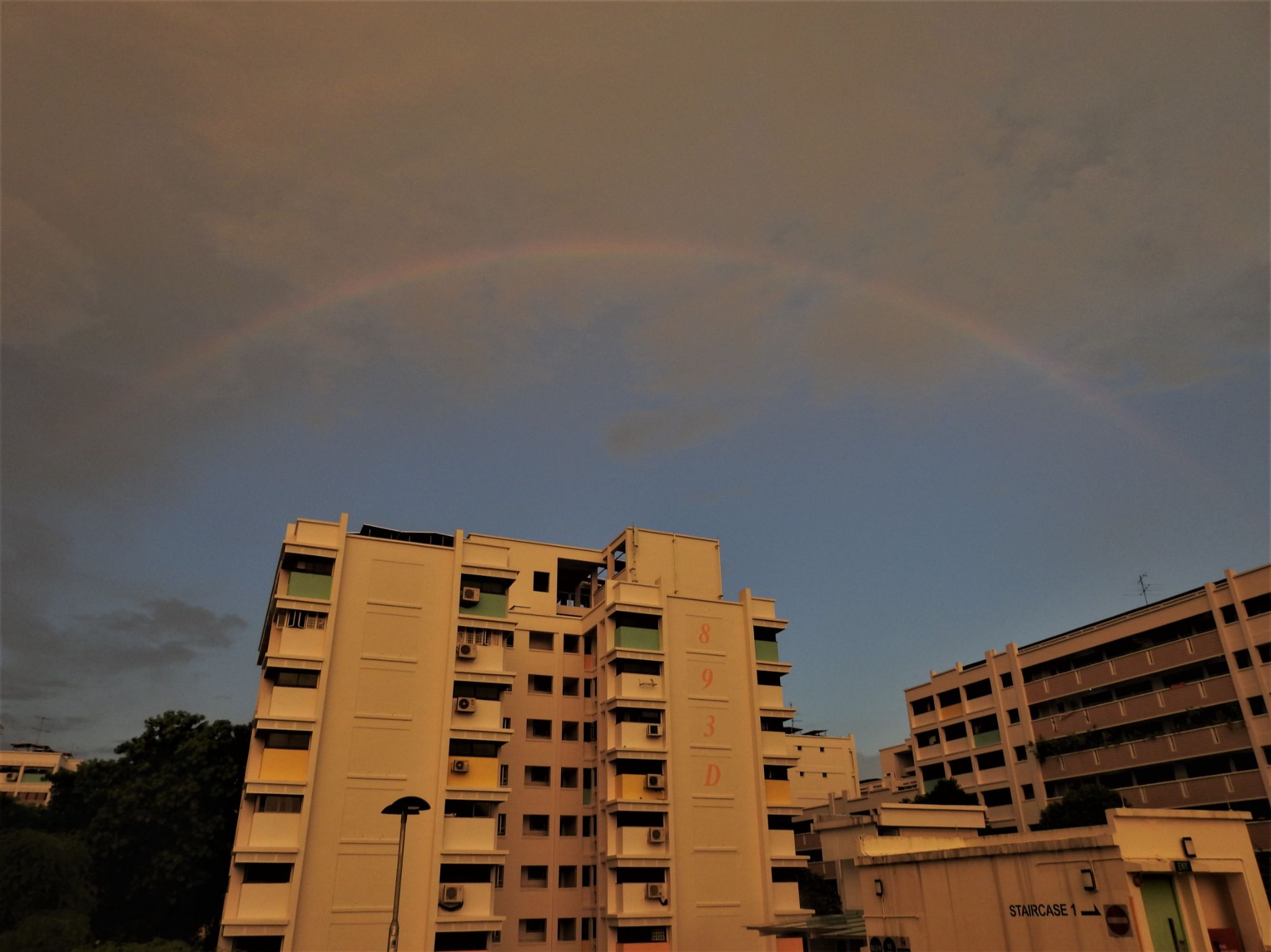 Community photo entitled  by Kannan A on 06/02/2020 at Woodlands, Singapore