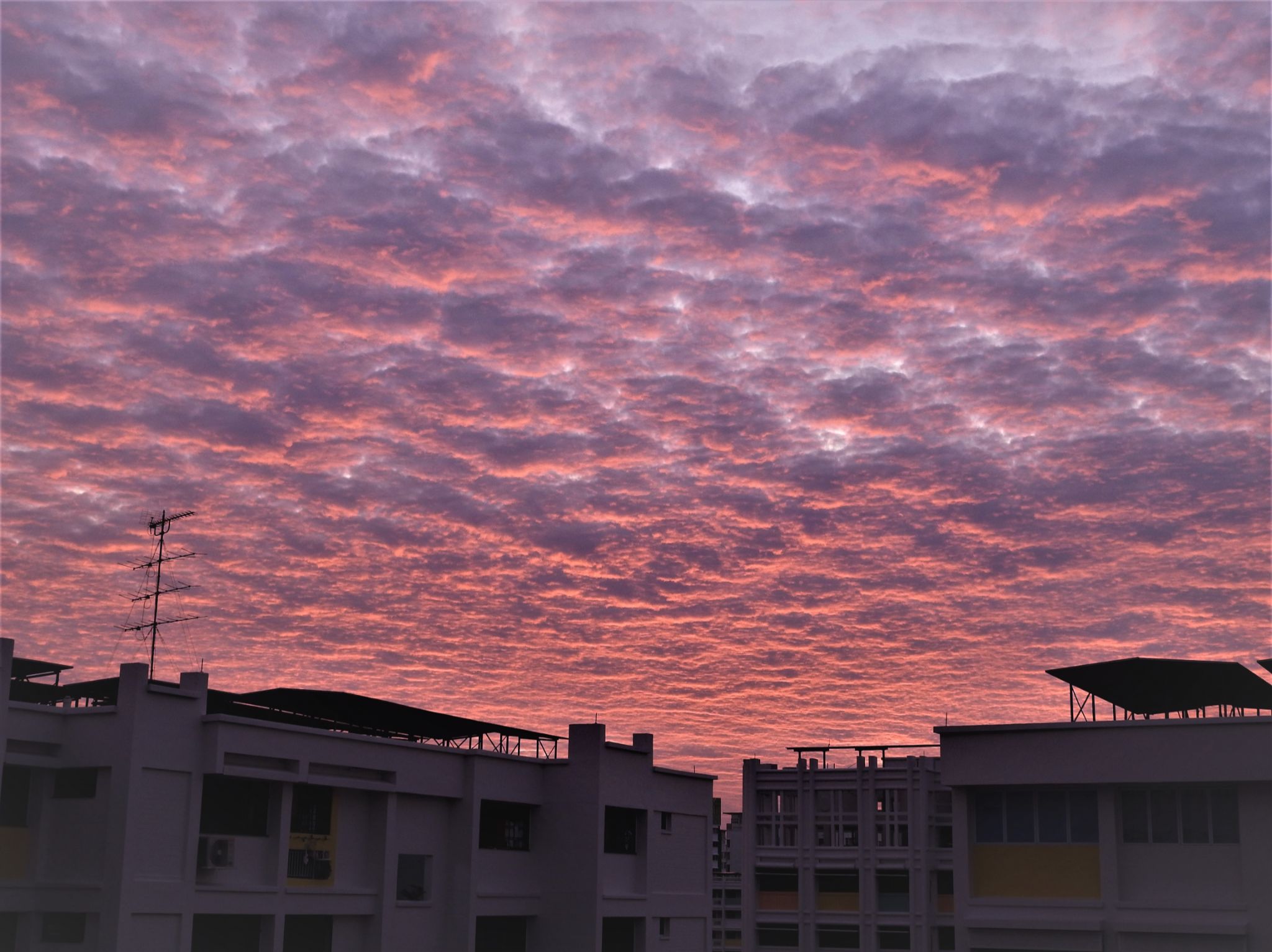 Community photo by Kannan A | Woodlands, Singapore