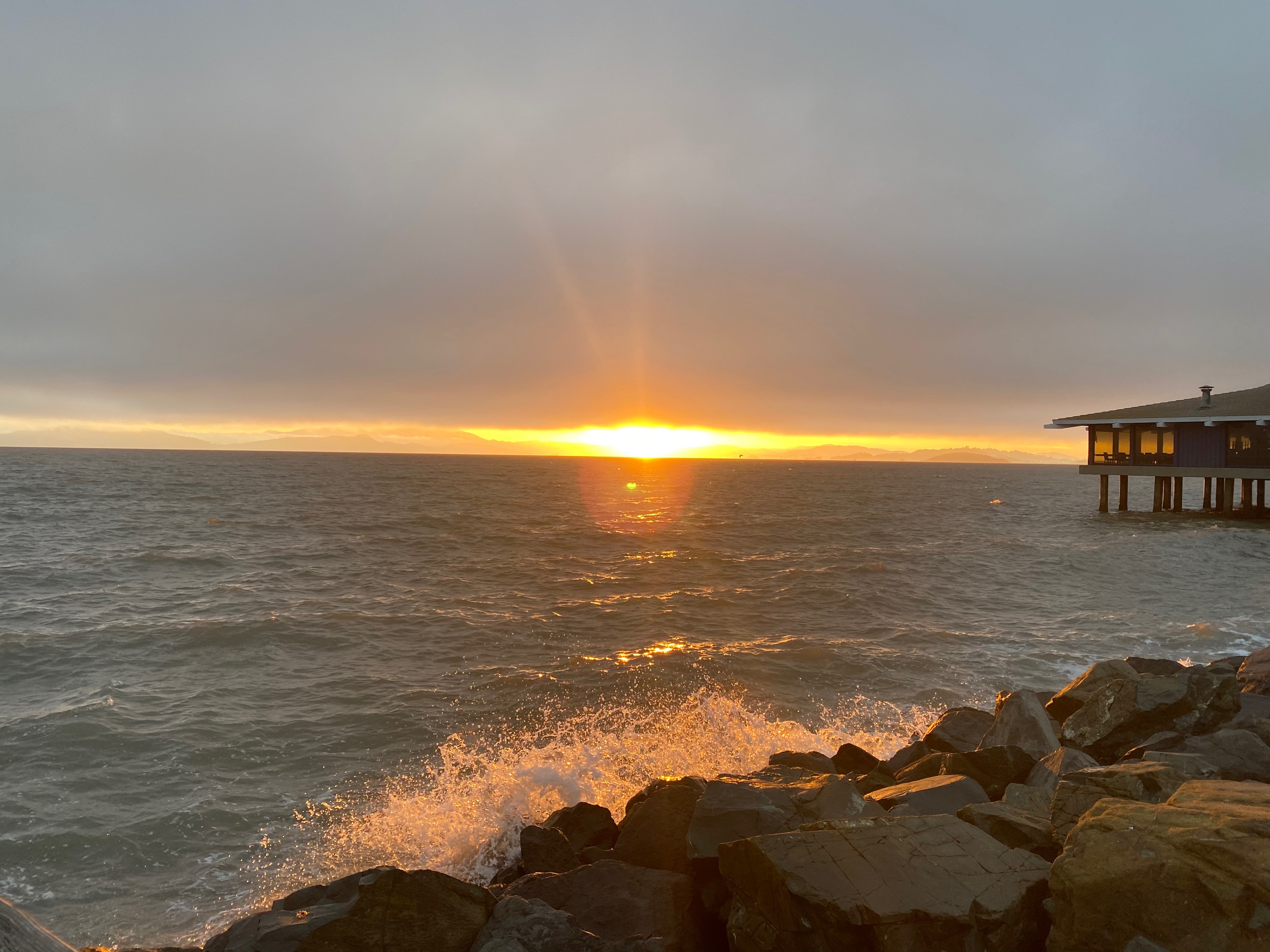 Community photo entitled  by Deborah Hibbsii on 06/20/2020 at Berkeley Marina CA USA