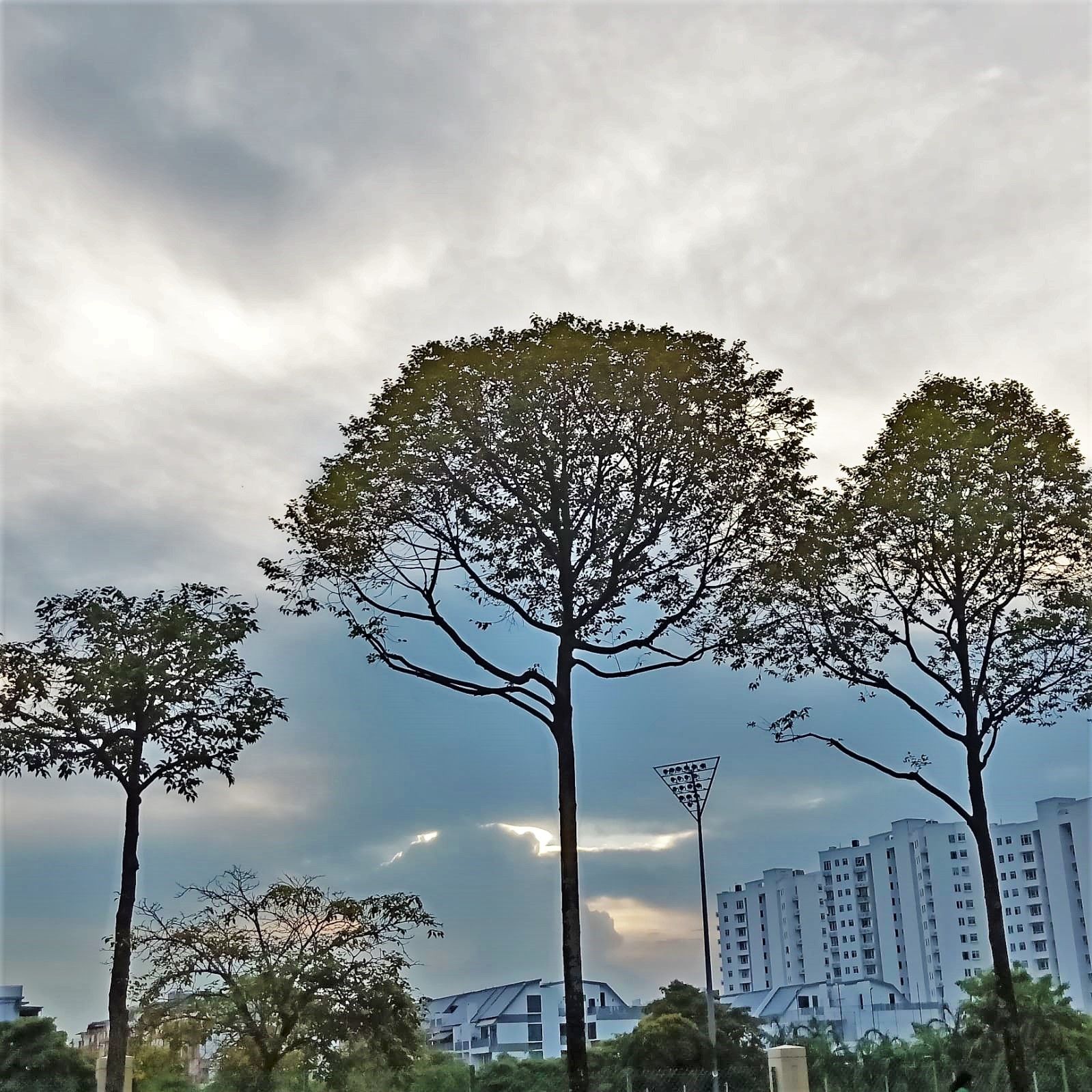 Community photo entitled  by Priscilla Kumari Anggamuthu on 06/11/2020 at Woodlands, Singapore