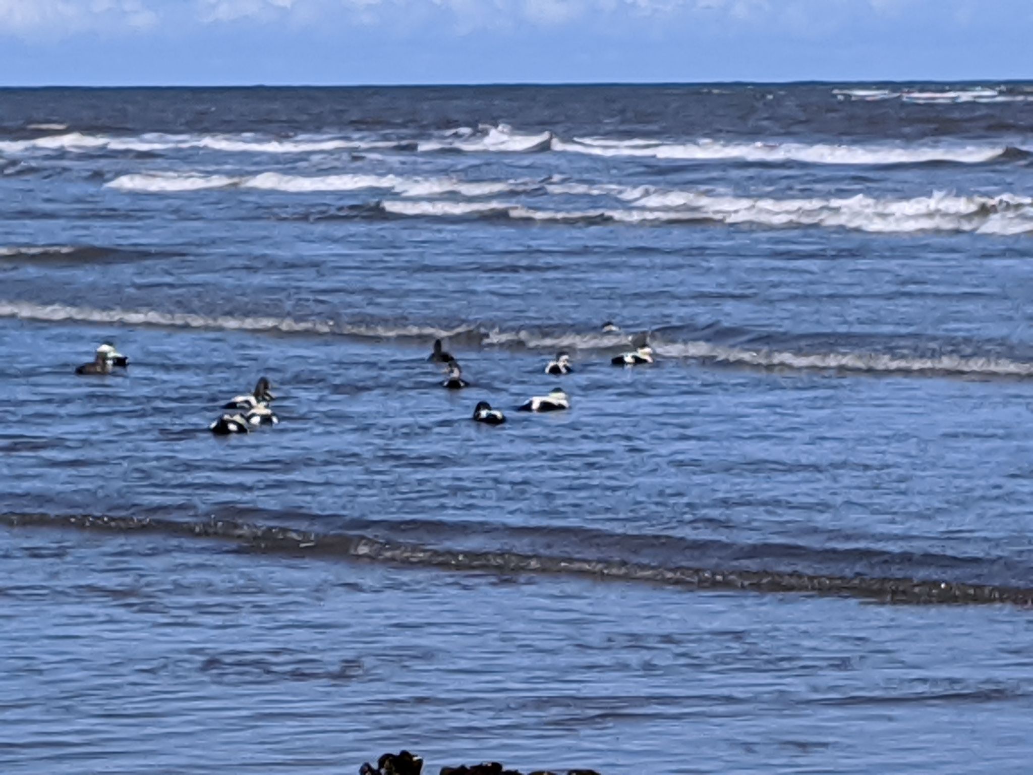 Community photo by kevan hubbard | Seaton Carew,Co Durham, England