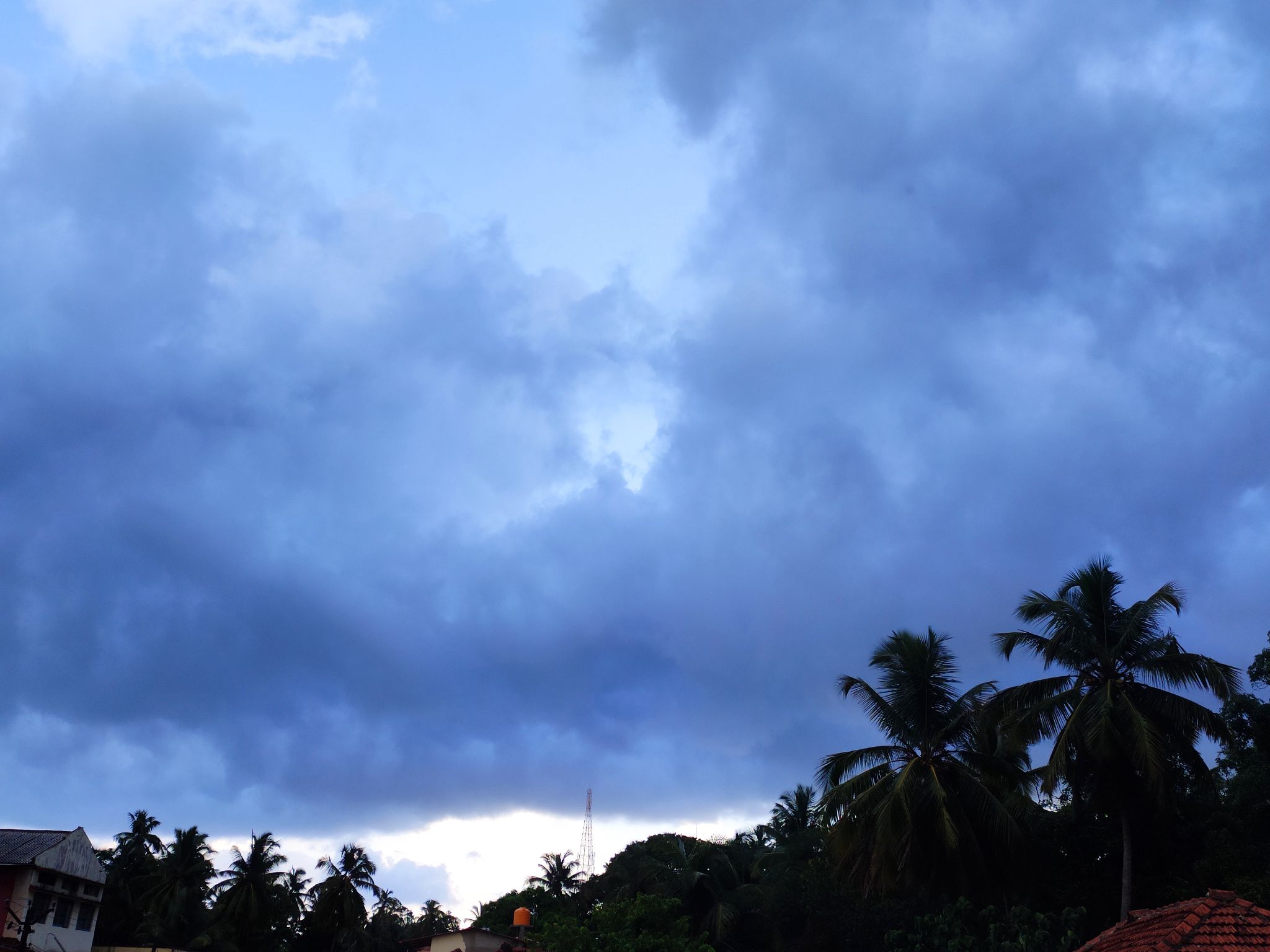 Community photo entitled  by Kedar Prabhu on 06/08/2020 at Subhash road, Kumta, Karnataka state, India