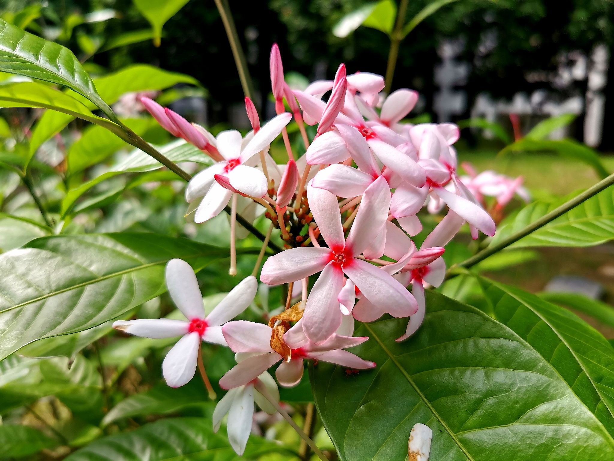 Community photo by Kannan A | Woodlands, Singapore