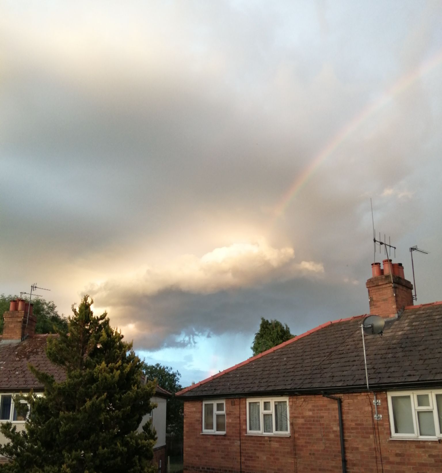 Community photo entitled  by Cerian Ridgway on 06/13/2020 at Wem, Shropshire, UK