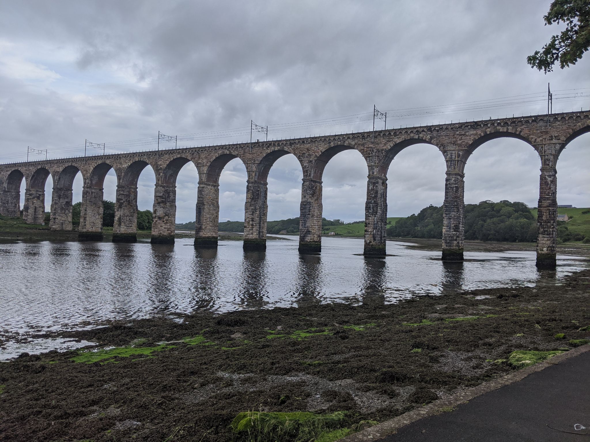 Community photo entitled  by kevan hubbard on 06/22/2020 at Berwick upon Tweed, England