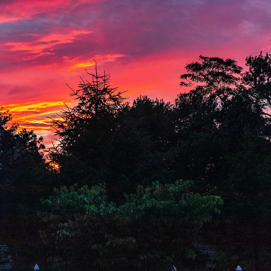 Community photo by Ragini Chaturvedi | Belmar, Nj