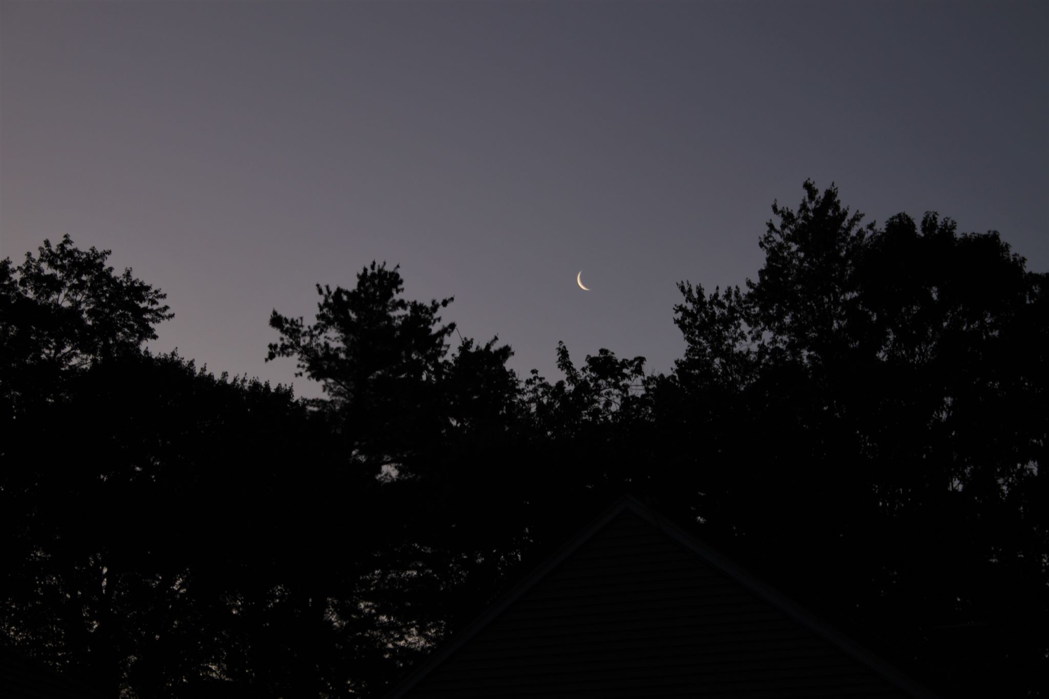 Community photo by Michael Terhune | Lunenburg MA, USA