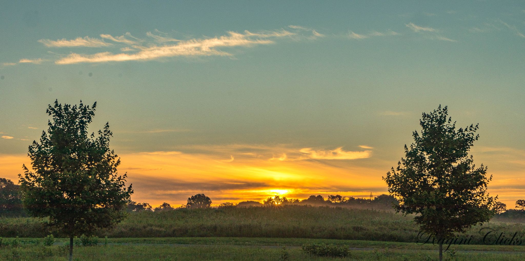 Community photo by Ragini Chaturvedi | Freehold, NJ