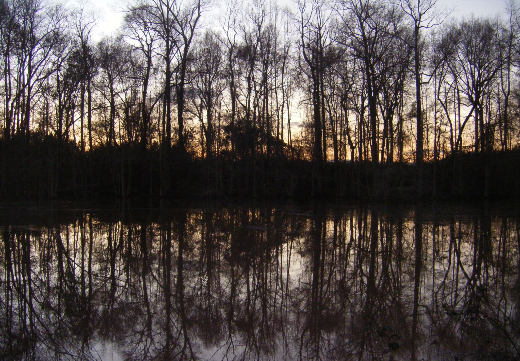 Community photo by Linda Adams | Ellaville, Schley County, Georgia, USA