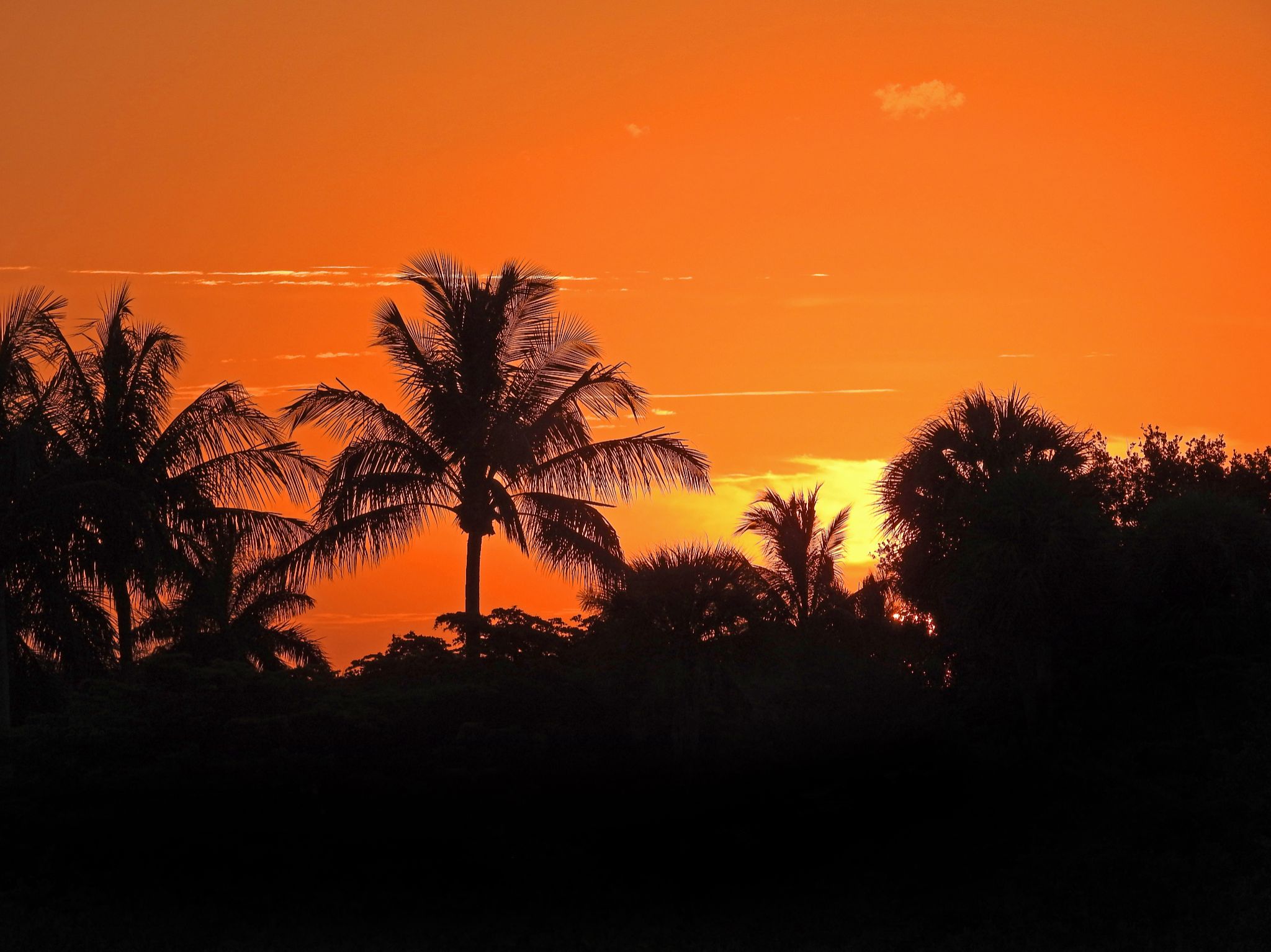 Community photo by Ron Lindensmith | SW Cape Coral, Florida, USA