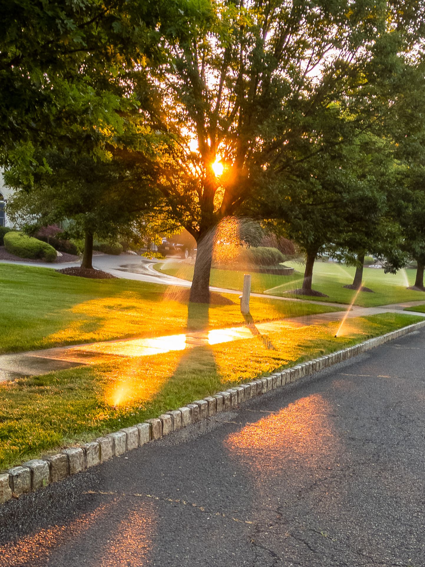 Community photo by Ragini Chaturvedi | Freehold, NJ