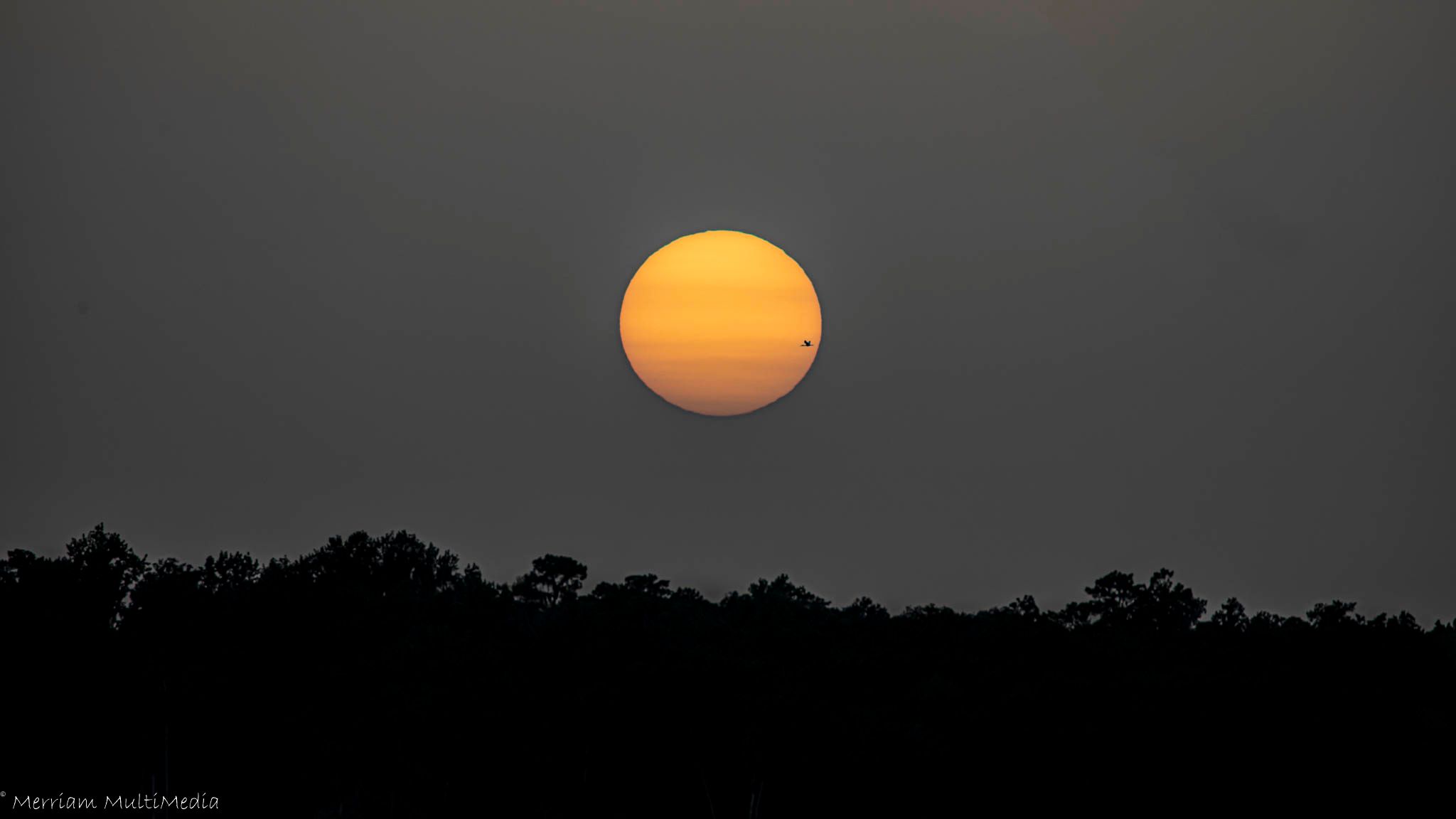 Community photo entitled  by John Merriam on 06/28/2020 at St Augustine FL