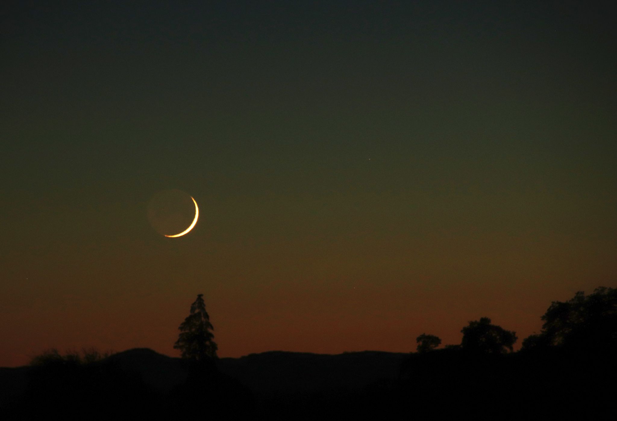 Community photo entitled  by Naomi Weidner on 06/22/2020 at west of Albany, OR