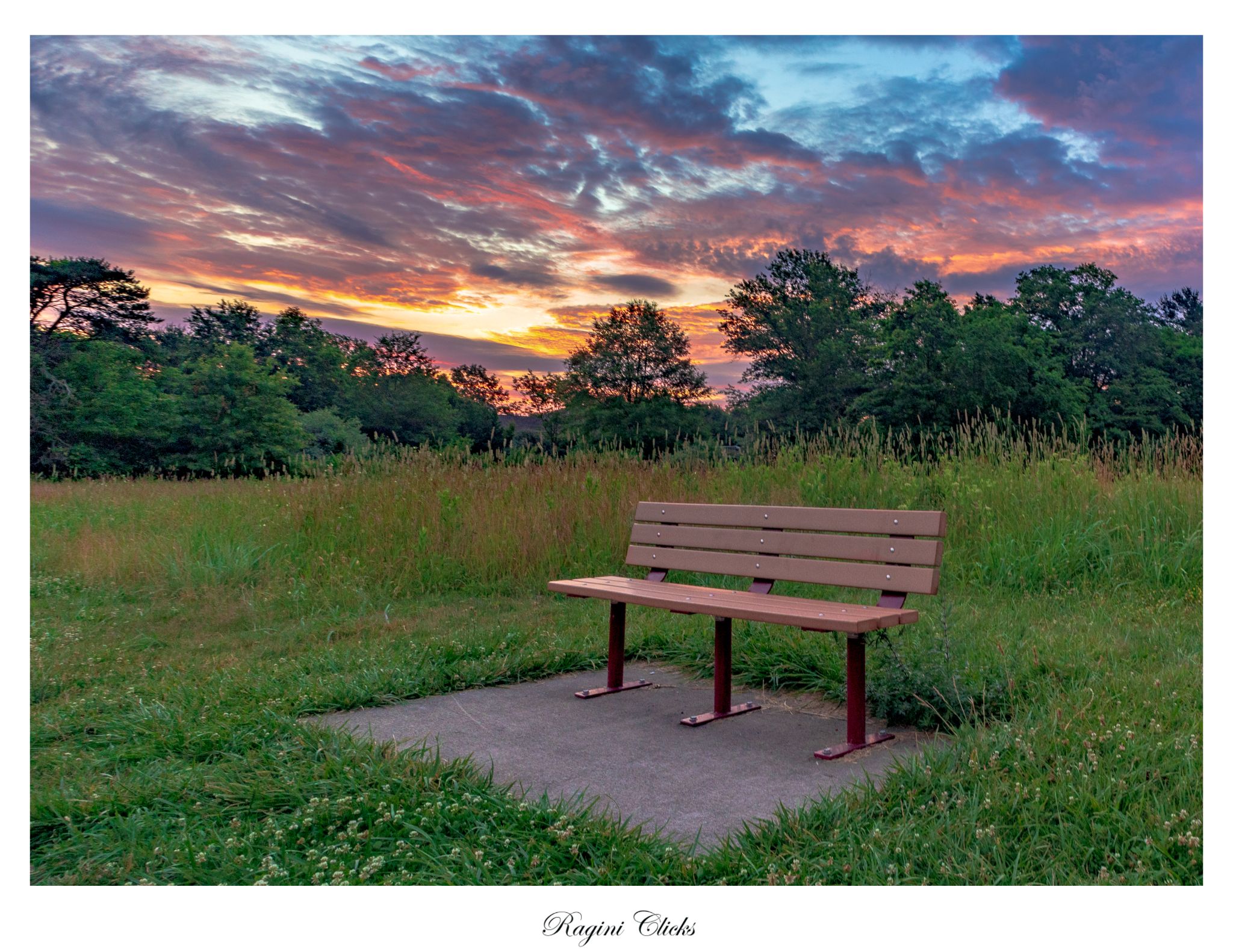 Community photo by Ragini Chaturvedi | Freehold, NJ