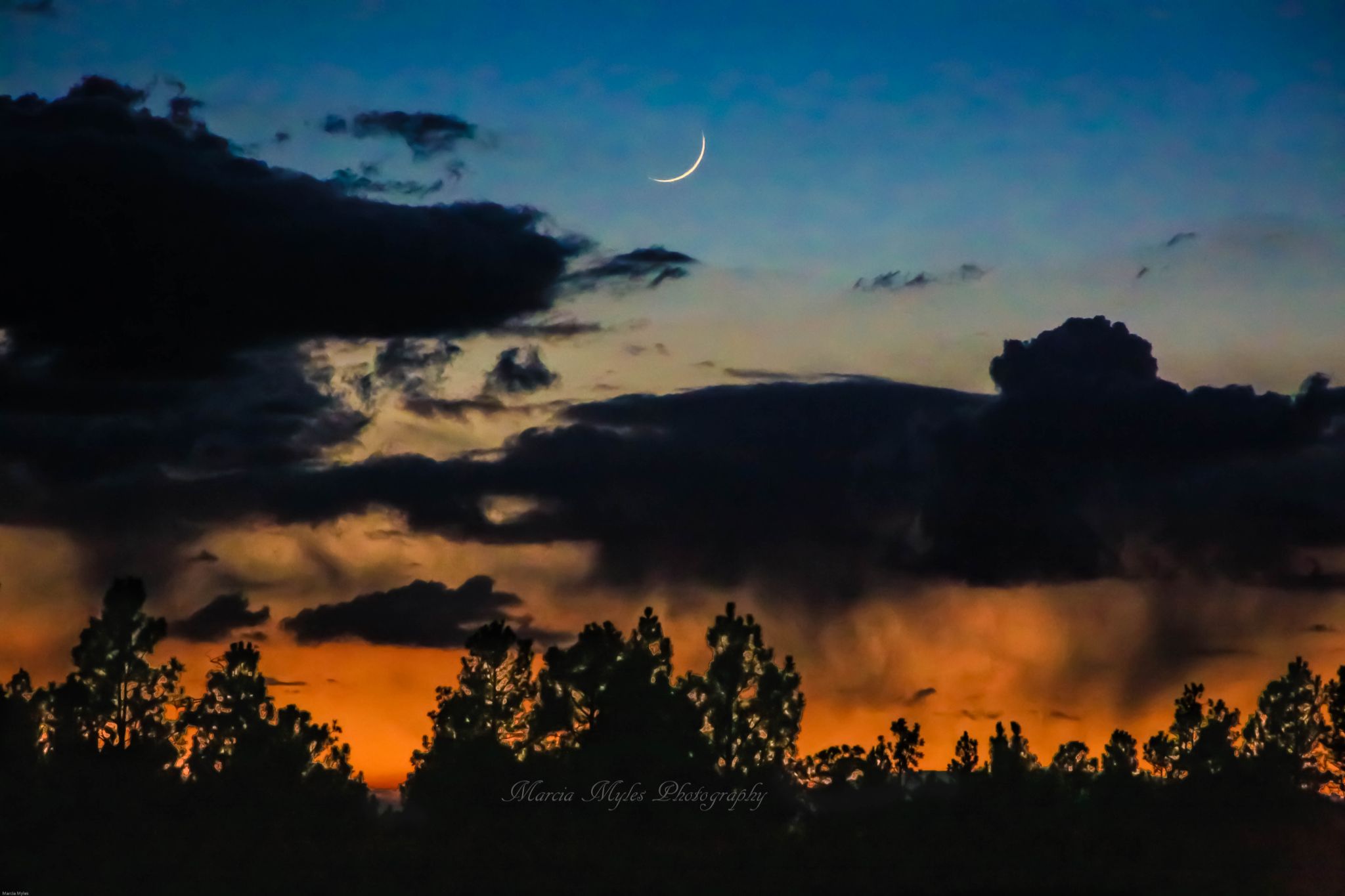 Community photo entitled  by Marcia Myles on 07/21/2020 at Flagstaff, AZ