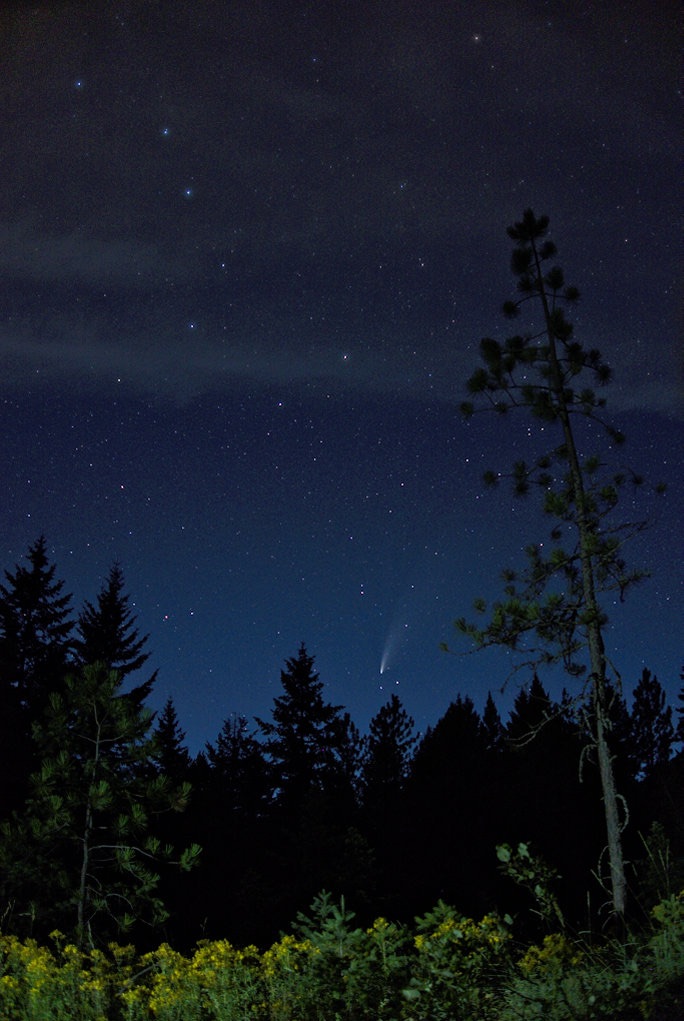 Community photo entitled  by Bill Oswald on 07/18/2020 at Northern Idaho