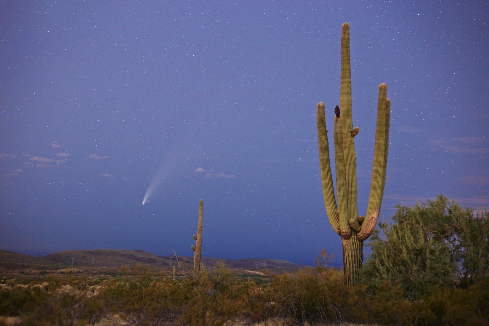 Community photo entitled  by Brian Collins on 07/18/2020 at Peoria, Arizona, USA