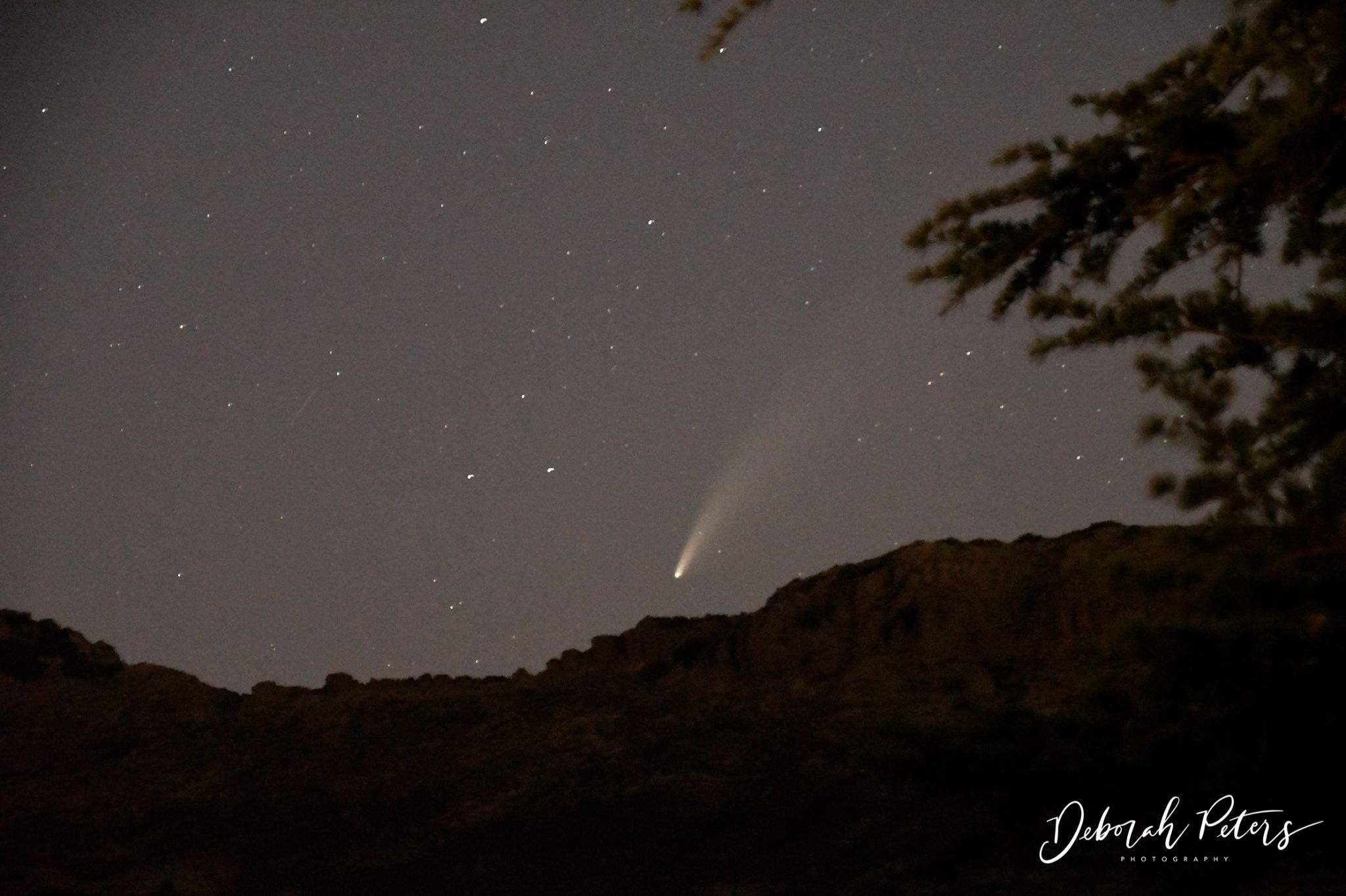 Community photo by Deborah Peters | Thousand Oaks, California, USA