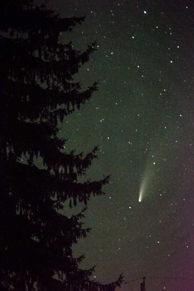 Community photo entitled  by Mariana F. Richards Benfatti on 07/20/2020 at Gardiner, NY, USA