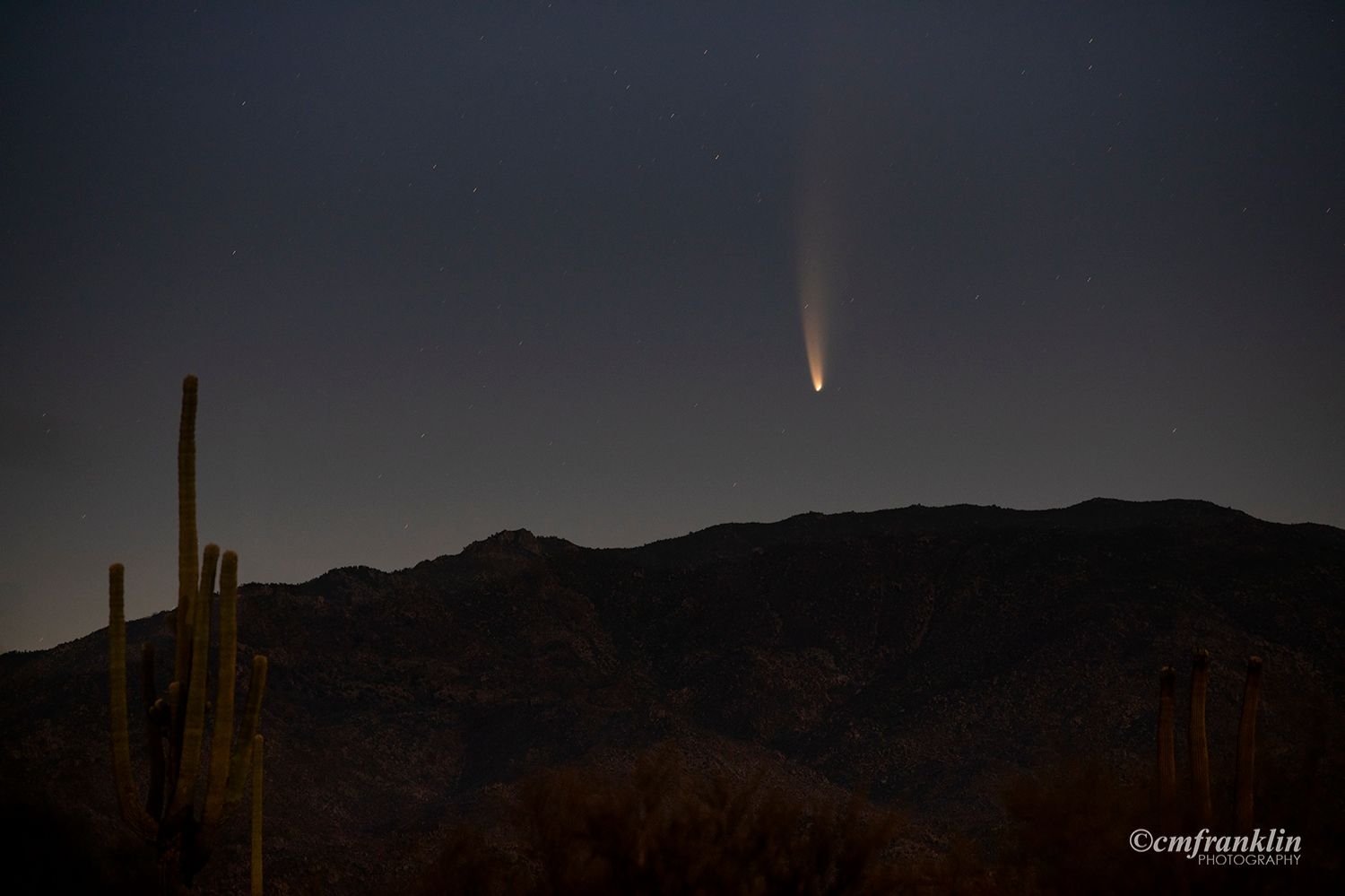 Community photo by Cathy Franklin | Tonto National Forest, Fountain Hills, Arizona