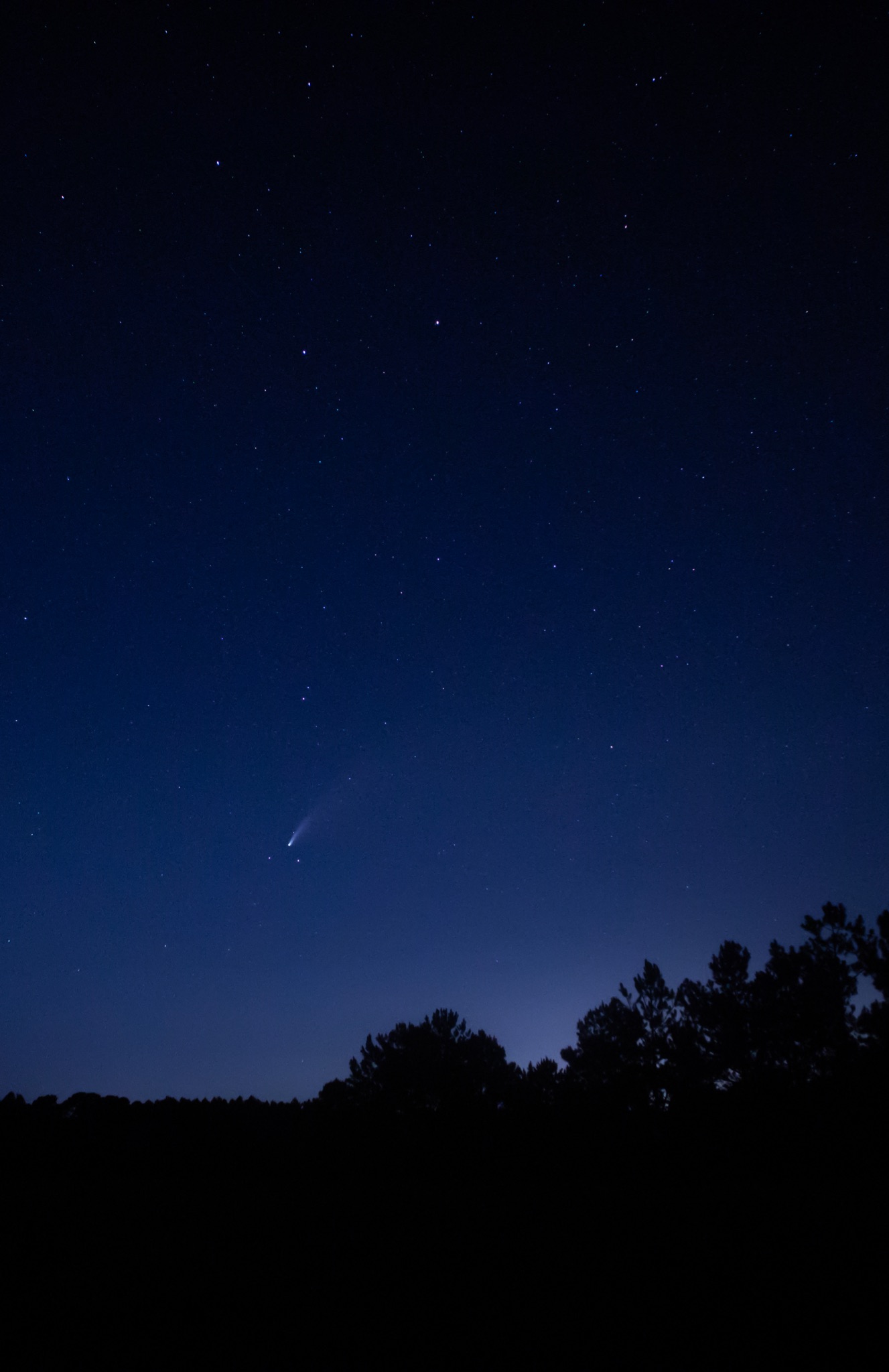 Community photo entitled  by Logan Williams on 07/18/2020 at Brooklet, GA, USA