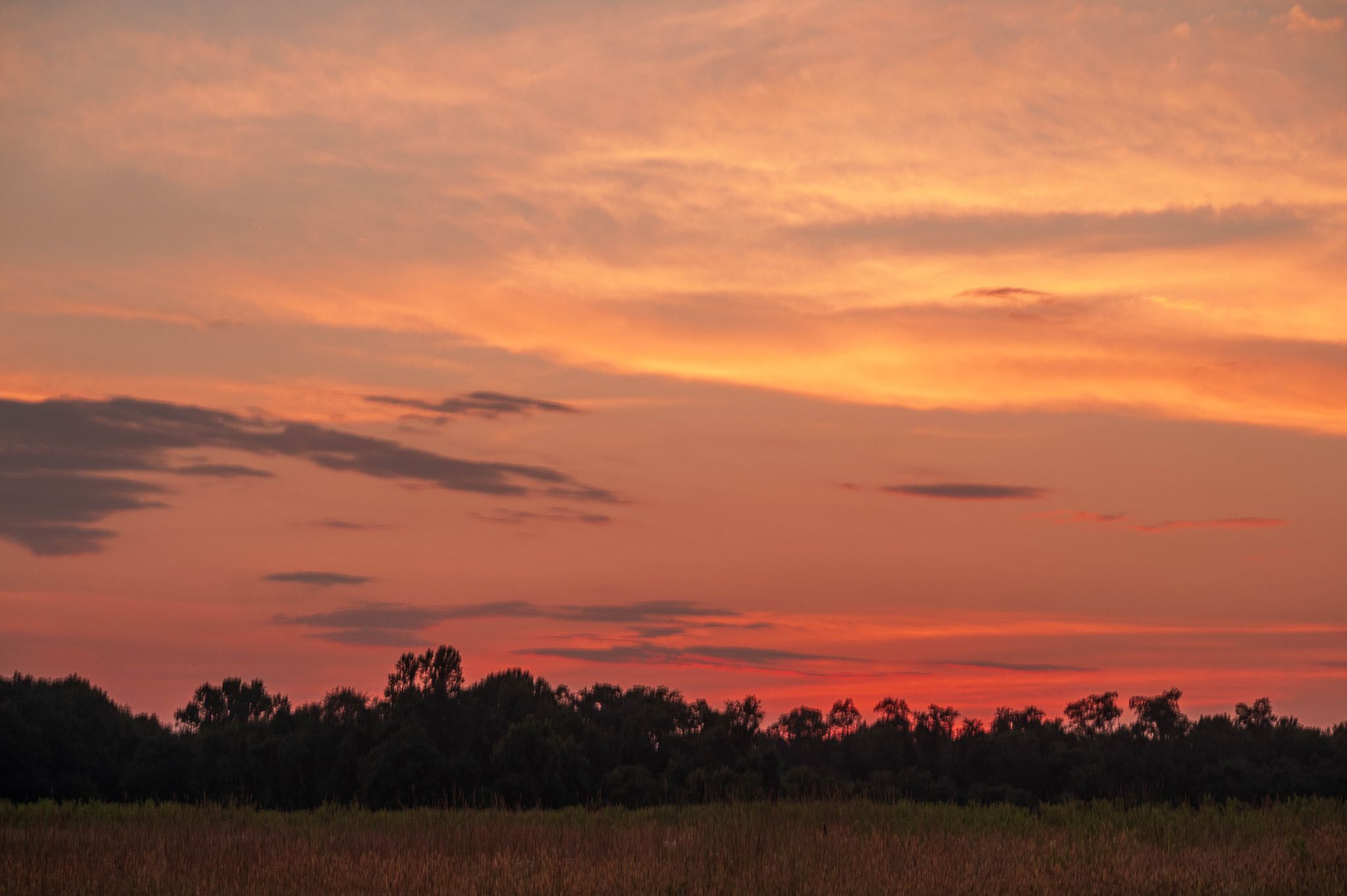 Community photo by Ragini Chaturvedi | Freehold, NJ