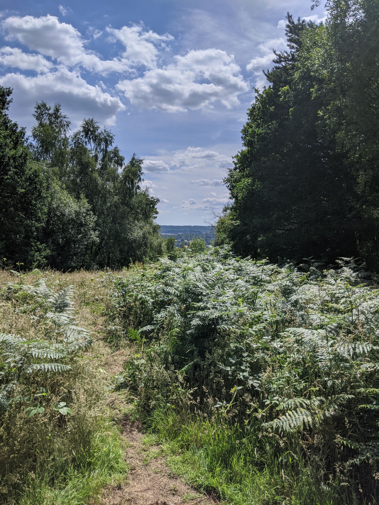 Community photo entitled  by kevan hubbard on 07/12/2020 at North Downs Way, Surrey, England