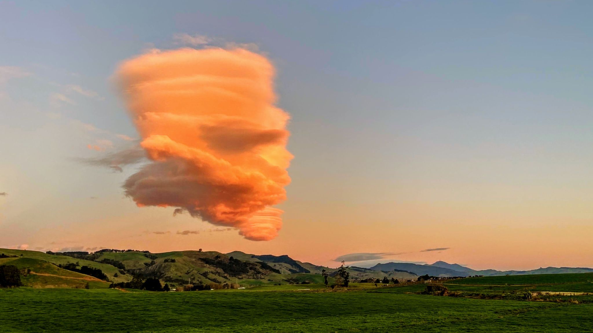 Community photo entitled  by remco remmelink on 07/02/2020 at Hikutaia New Zealand