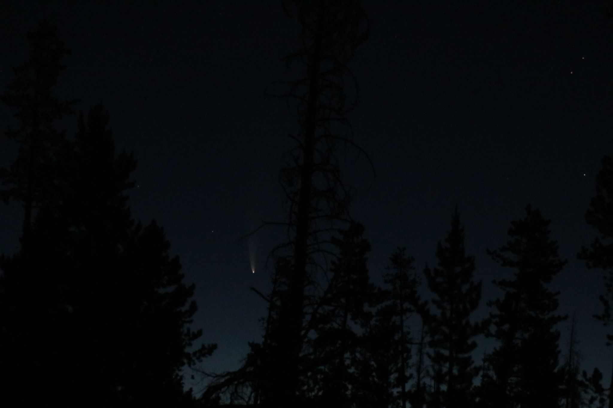 Community photo entitled  by Tim Kramer on 07/10/2020 at White River National Forrest, Summit County CO USA