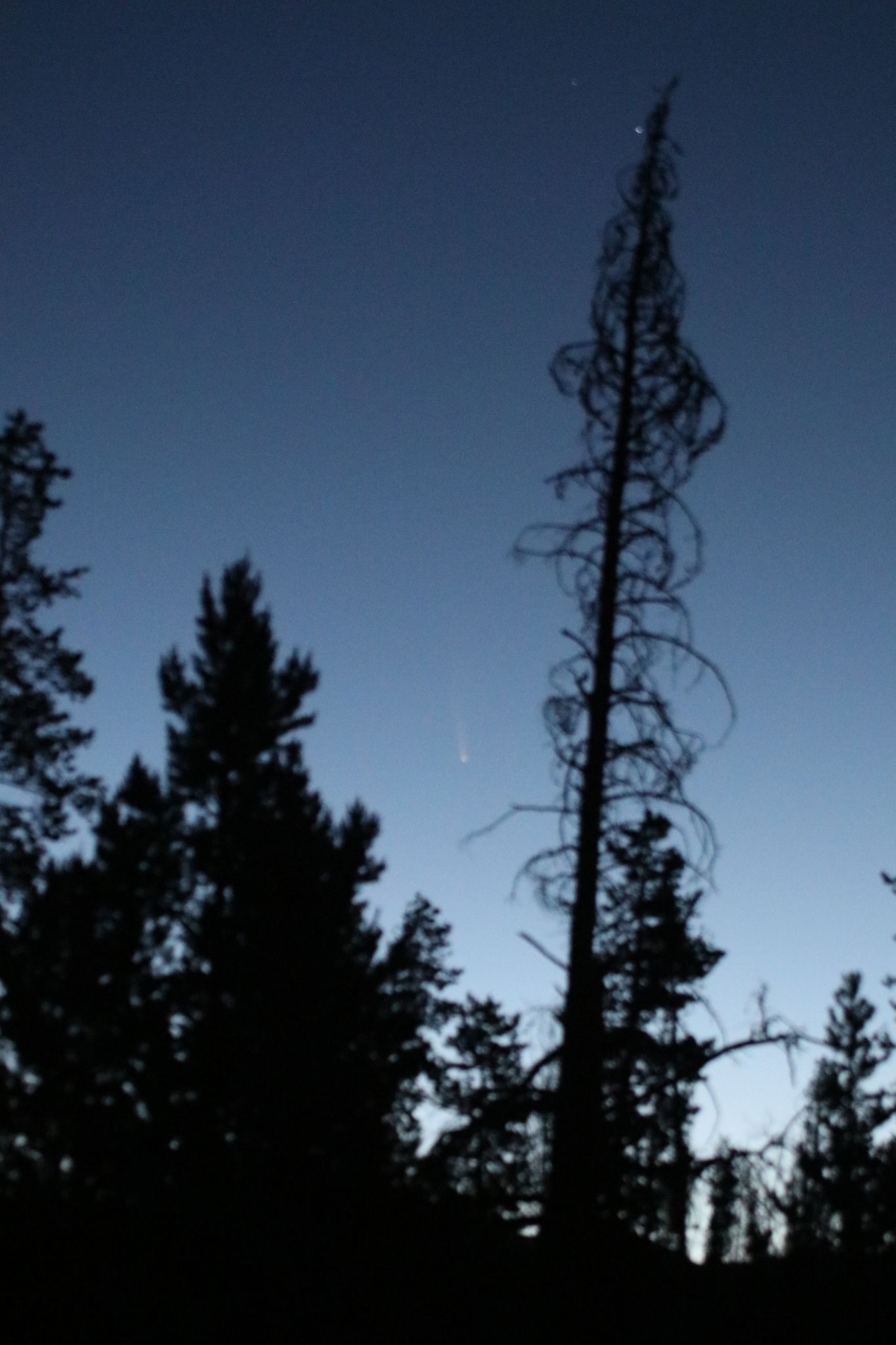 Community photo entitled  by Tim Kramer on 07/10/2020 at White River National Forrest, Summit County CO USA