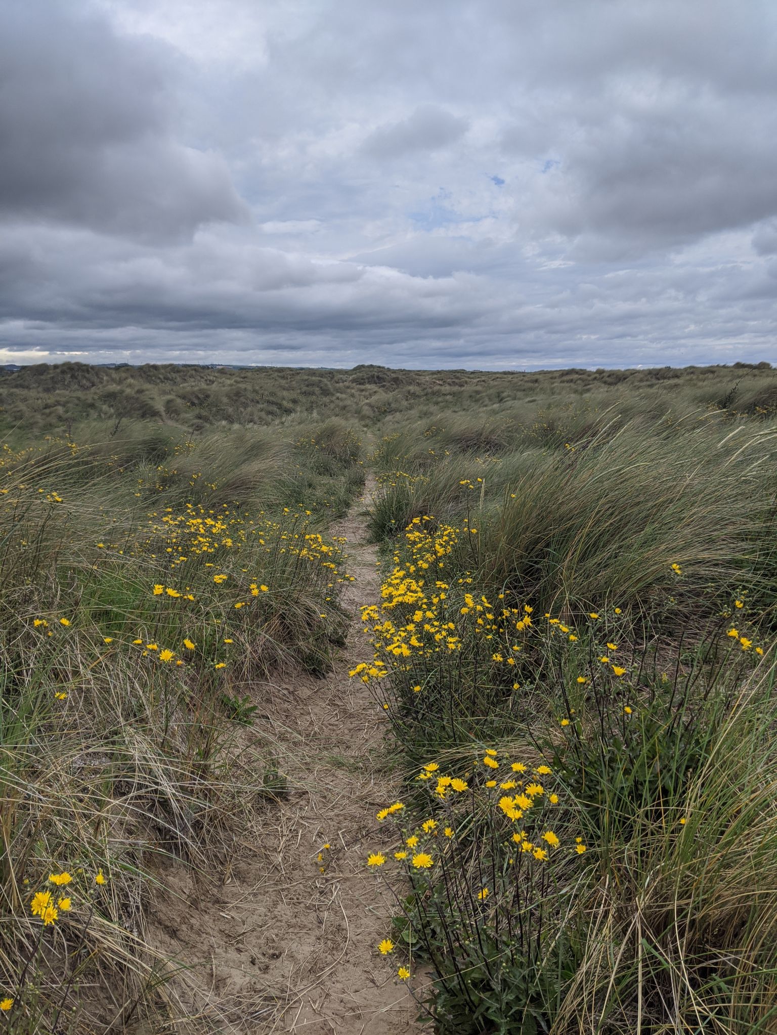 Community photo entitled  by kevan hubbard on 07/03/2020 at Seaton Carew,Co Durham, England