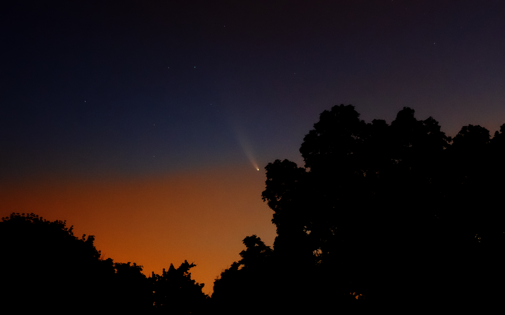 Community photo entitled  by Rix Yarbrough on 07/14/2020 at Arlington, Massachusetts