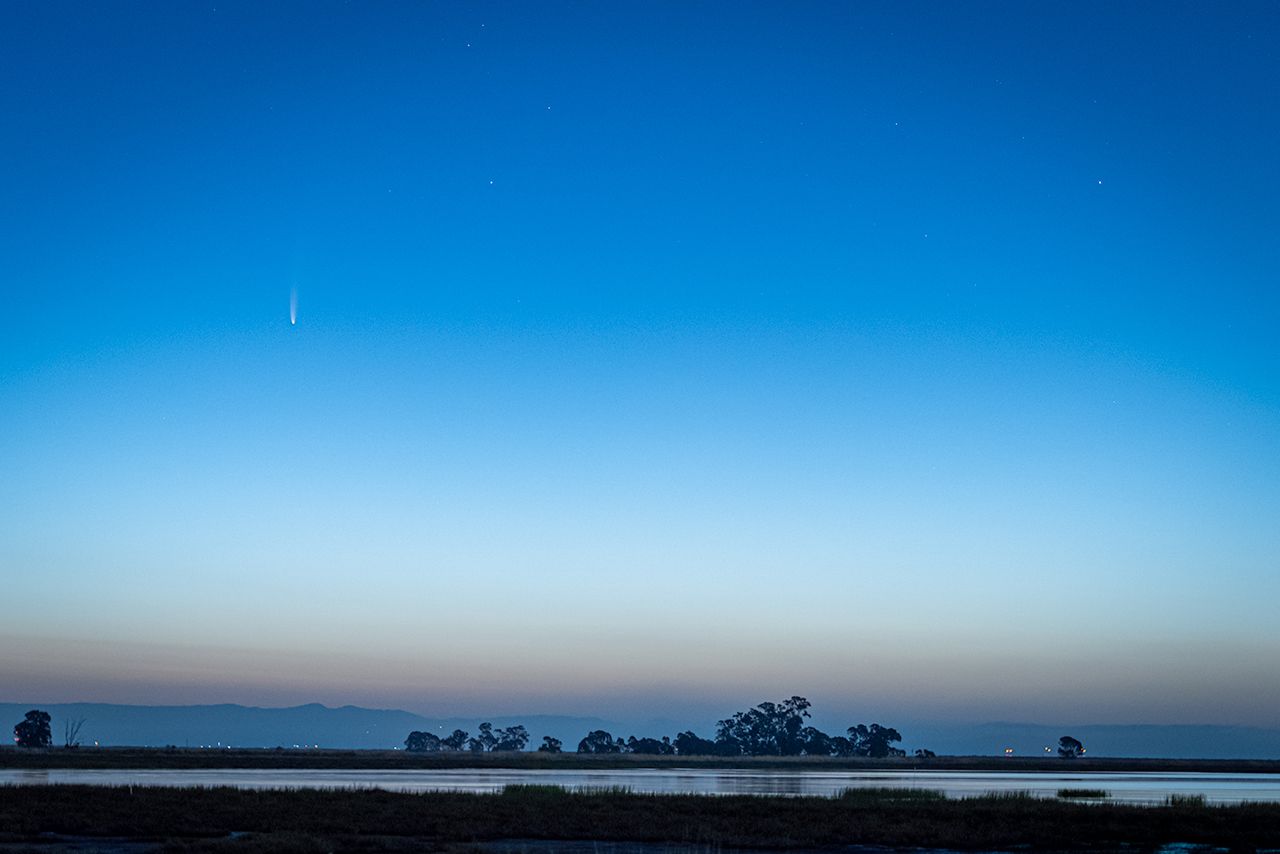 Community photo by Harvey Abernathey | Hamilton Wetlands, Novato, CA