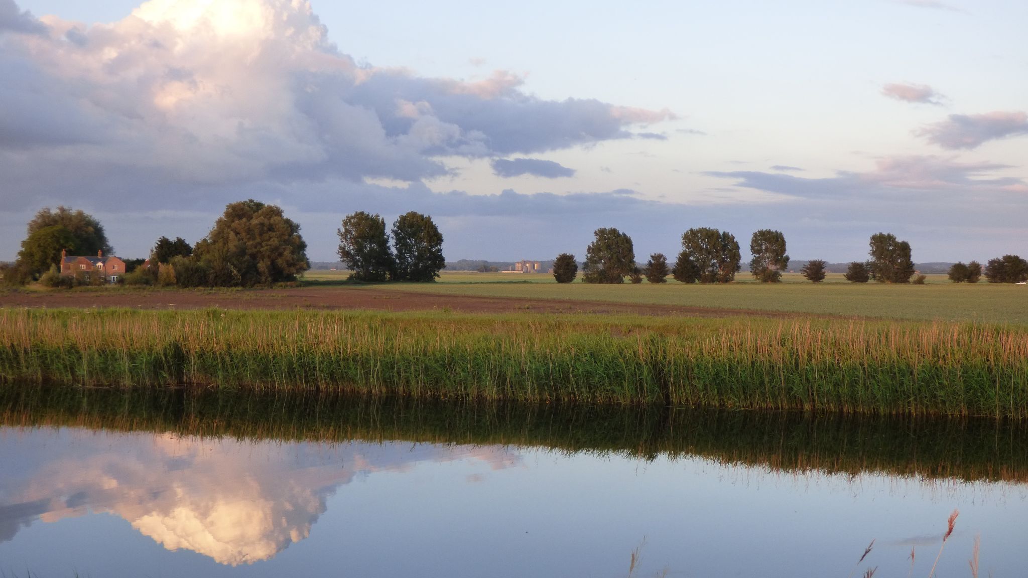 Community photo by Richard Duffy | Marshland Smeeth, Norfolk, England.