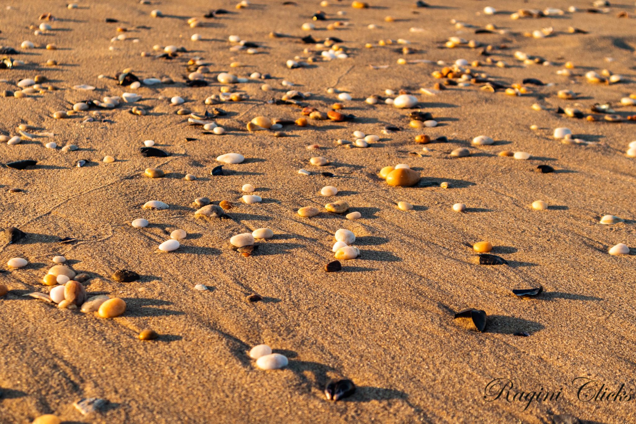 Community photo by Ragini Chaturvedi | Bradley Beach, NJ