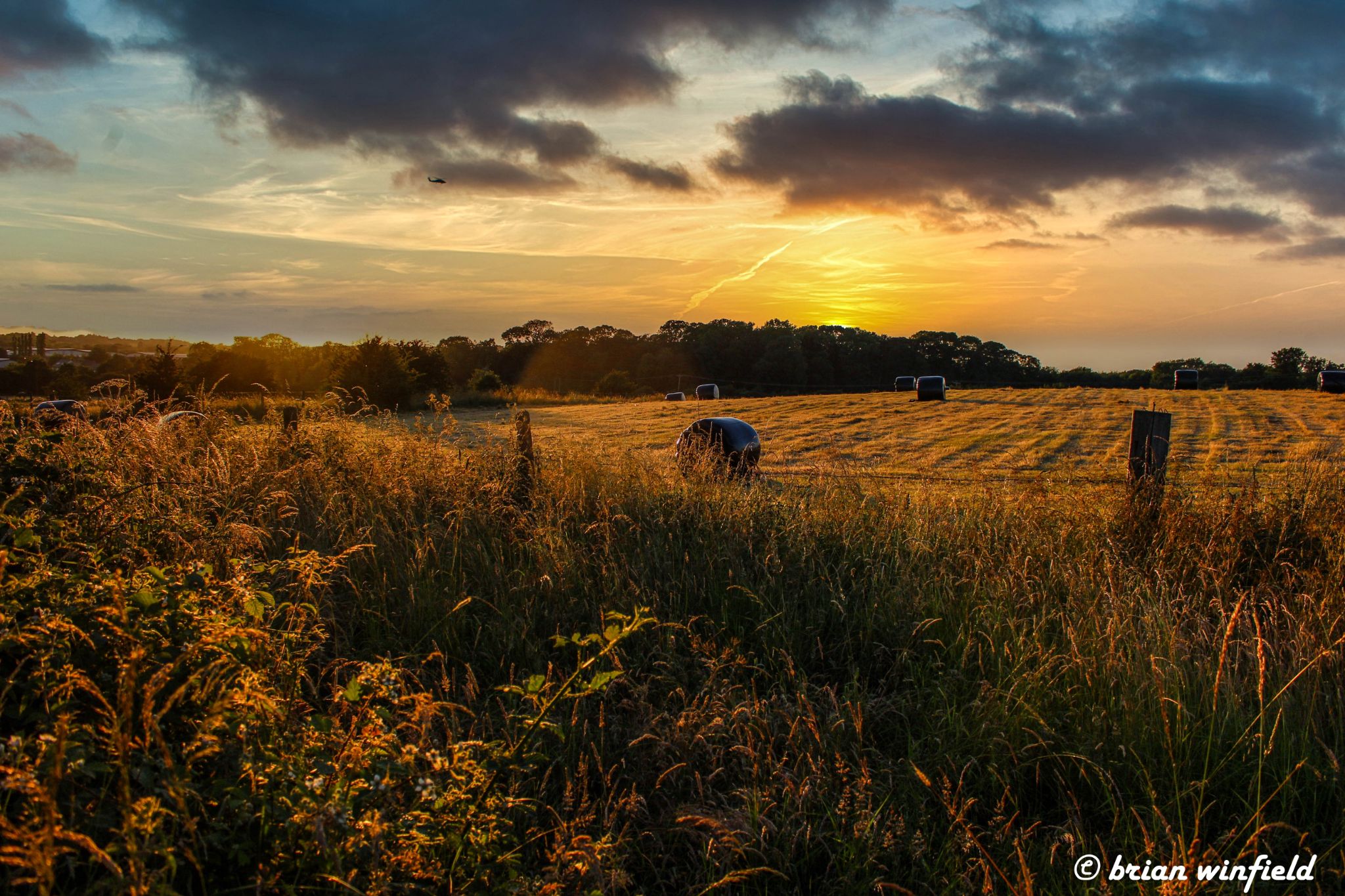 Community photo entitled  by Brian Winfield on 06/17/2020 at Ashby De-La-Zouch leics