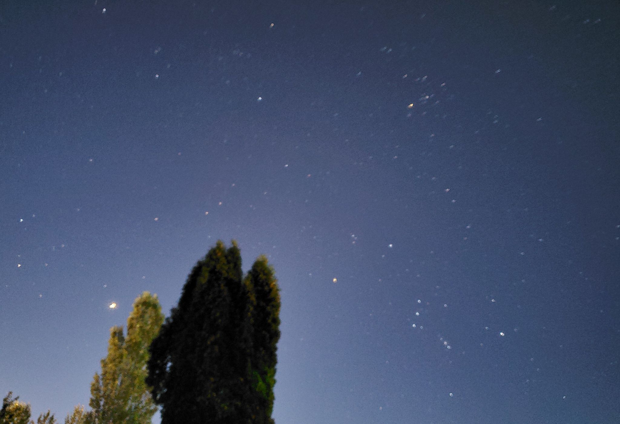 Community photo by Vaun Fiedler | Bonney Lake, WA, USA