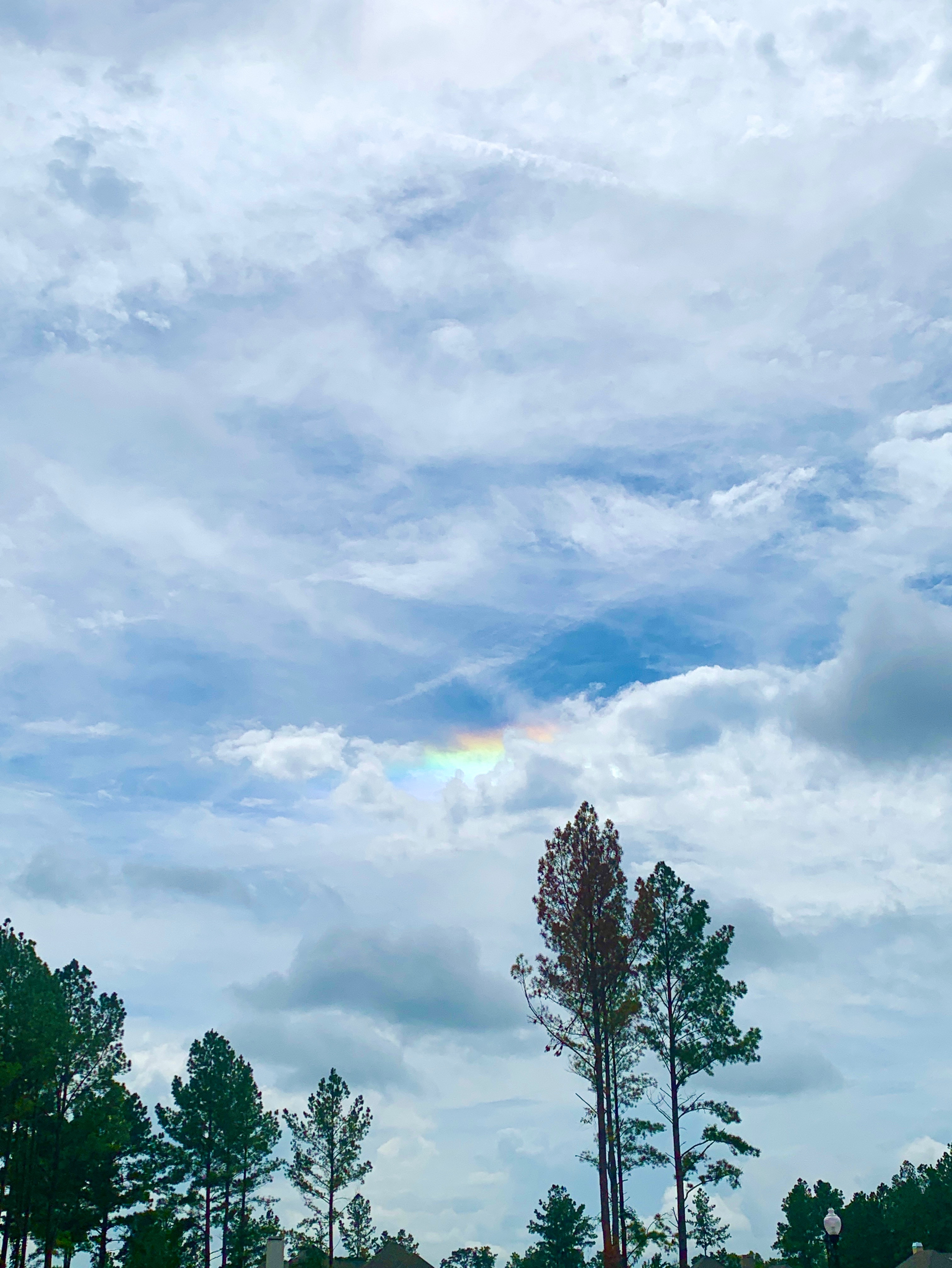 Community photo entitled  by Jan Johnson on 08/29/2020 at Pike Road, AL, US