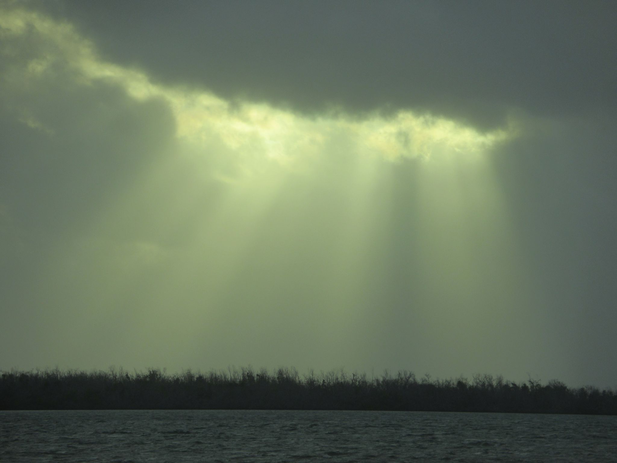 Community photo by Katrina Madok | Big Pine Key, Florida