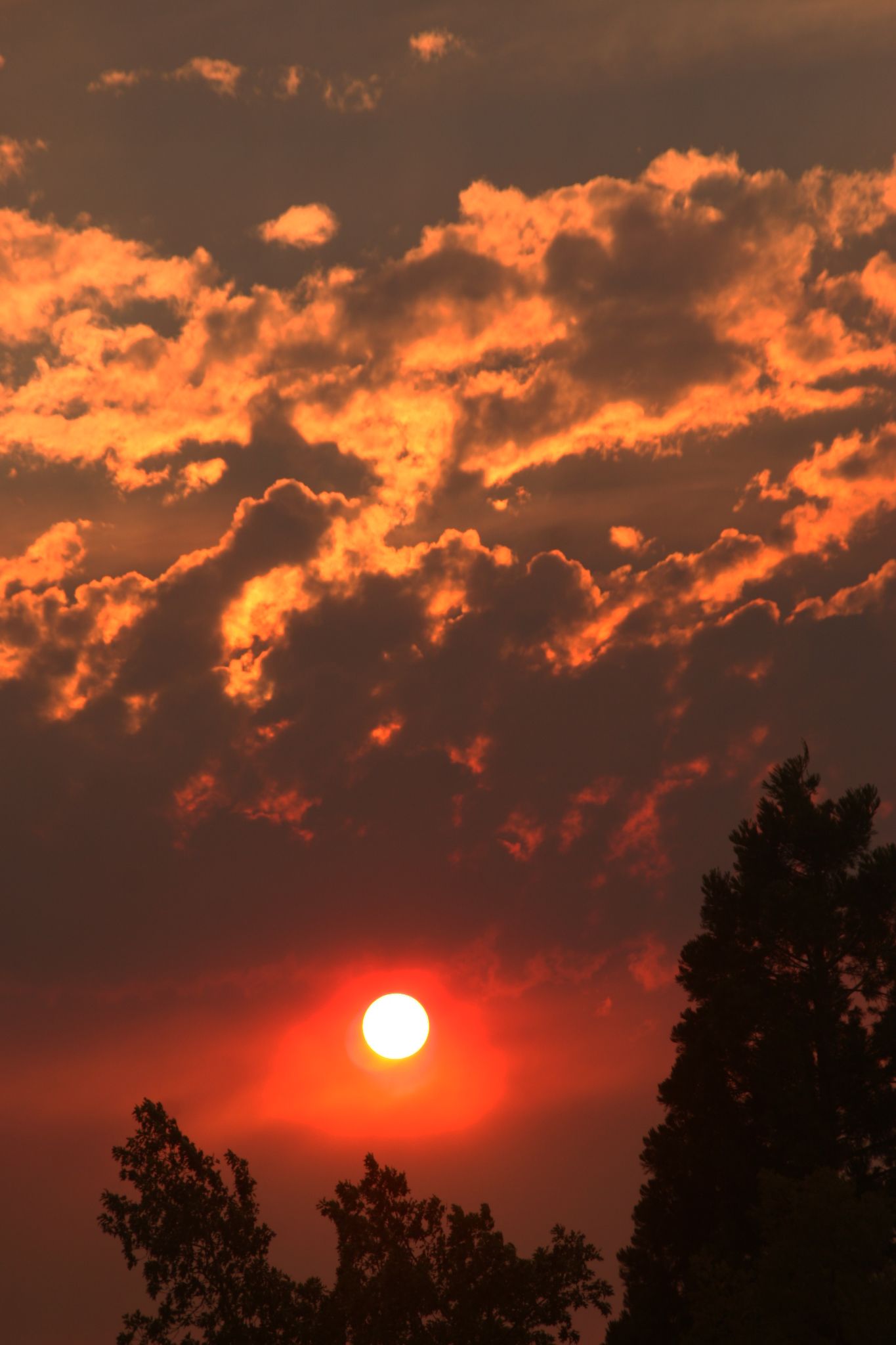 Community photo entitled  by Kim Schuett on 08/16/2020 at Spanish Springs, Nevada, US