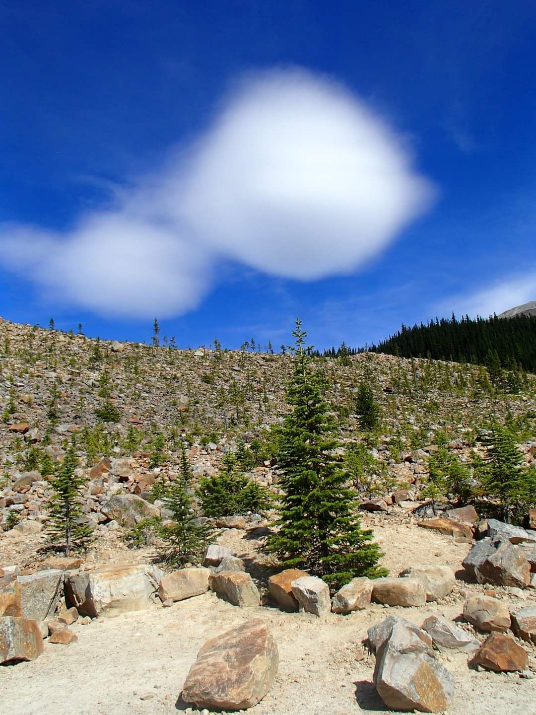 Community photo entitled  by Greg Wallace on 08/20/2020 at Jasper National Park, Alberta, Canada