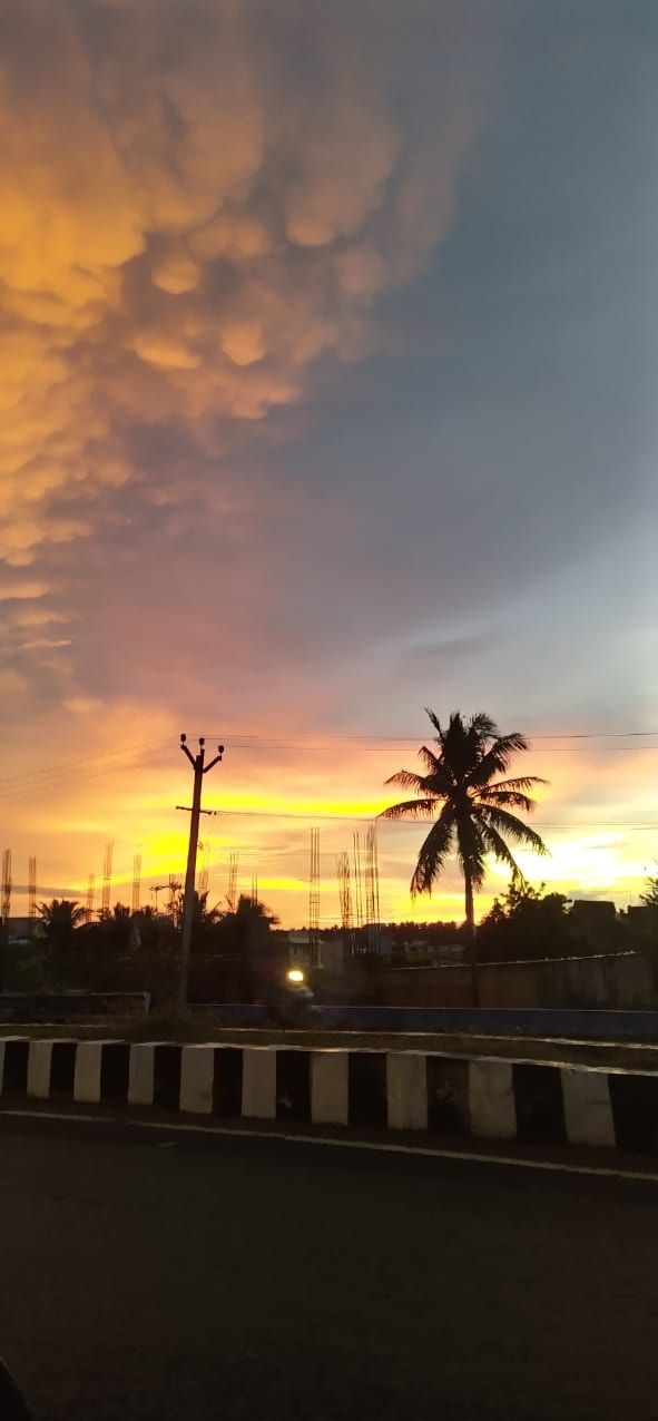 Community photo by Arul Amudhan.G | Puducherry