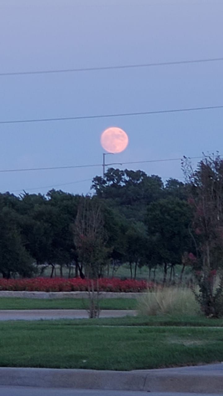 Community photo by Antara Verma | Irving, Texas, US