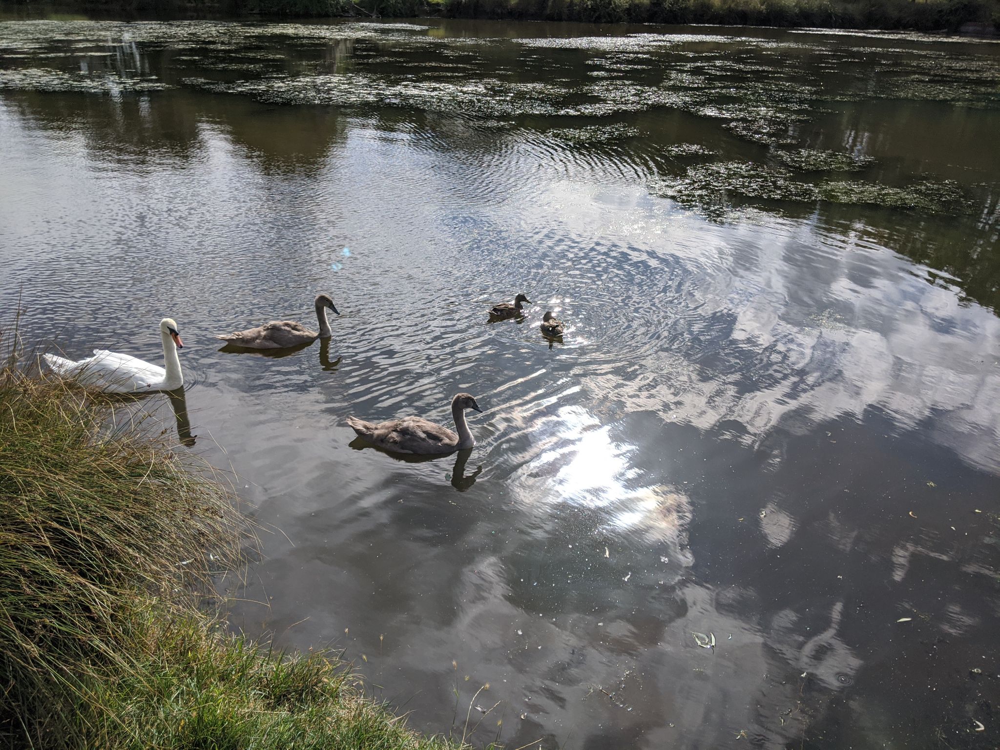 Community photo entitled  by kevan hubbard on 08/05/2020 at Windsor Great Park, Berkshire, England.